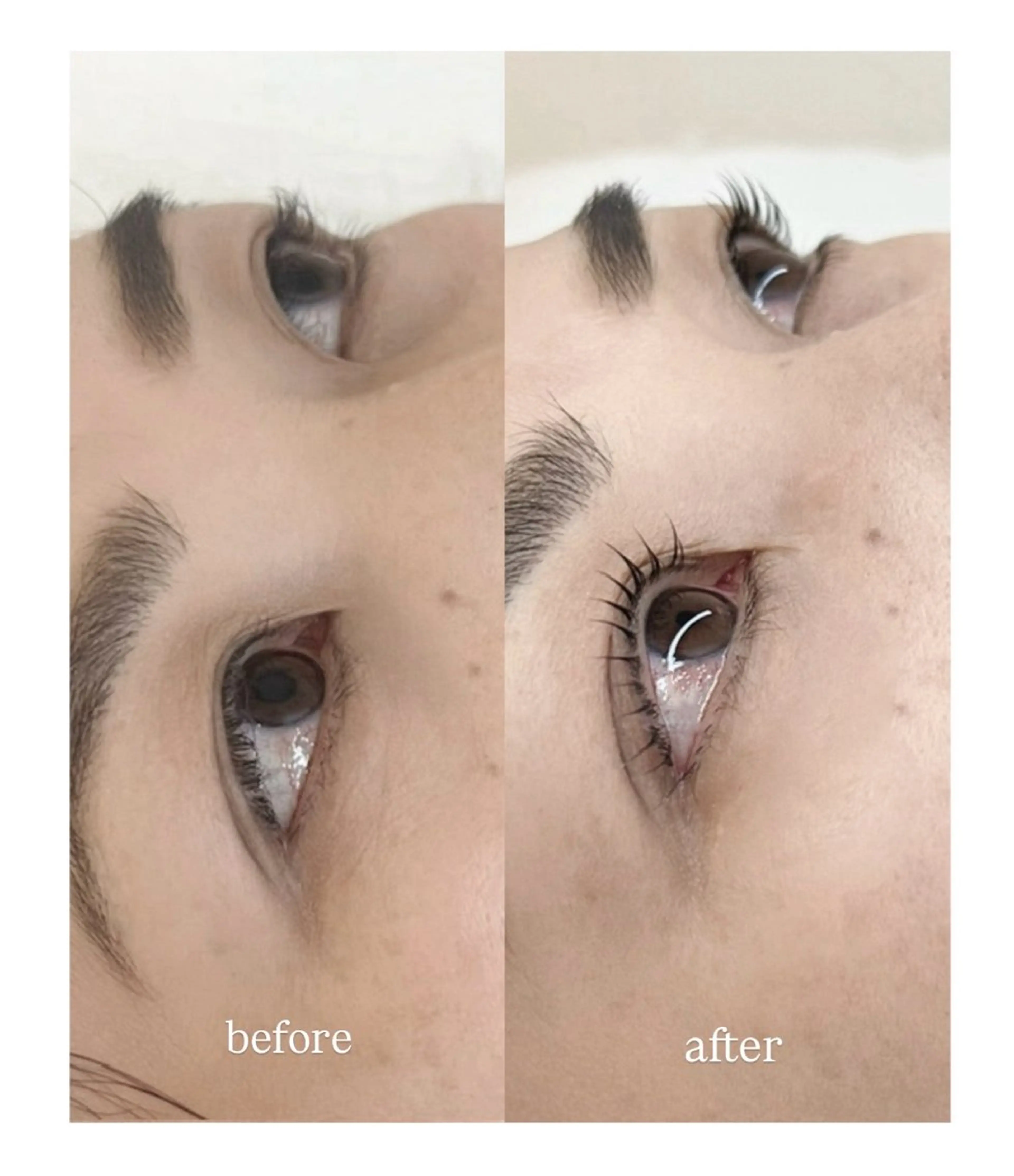 マツエク・マツパ Lill  by  Flag  上通店所属・LillbyFlag / RYUのマツエク・マツパデザイン