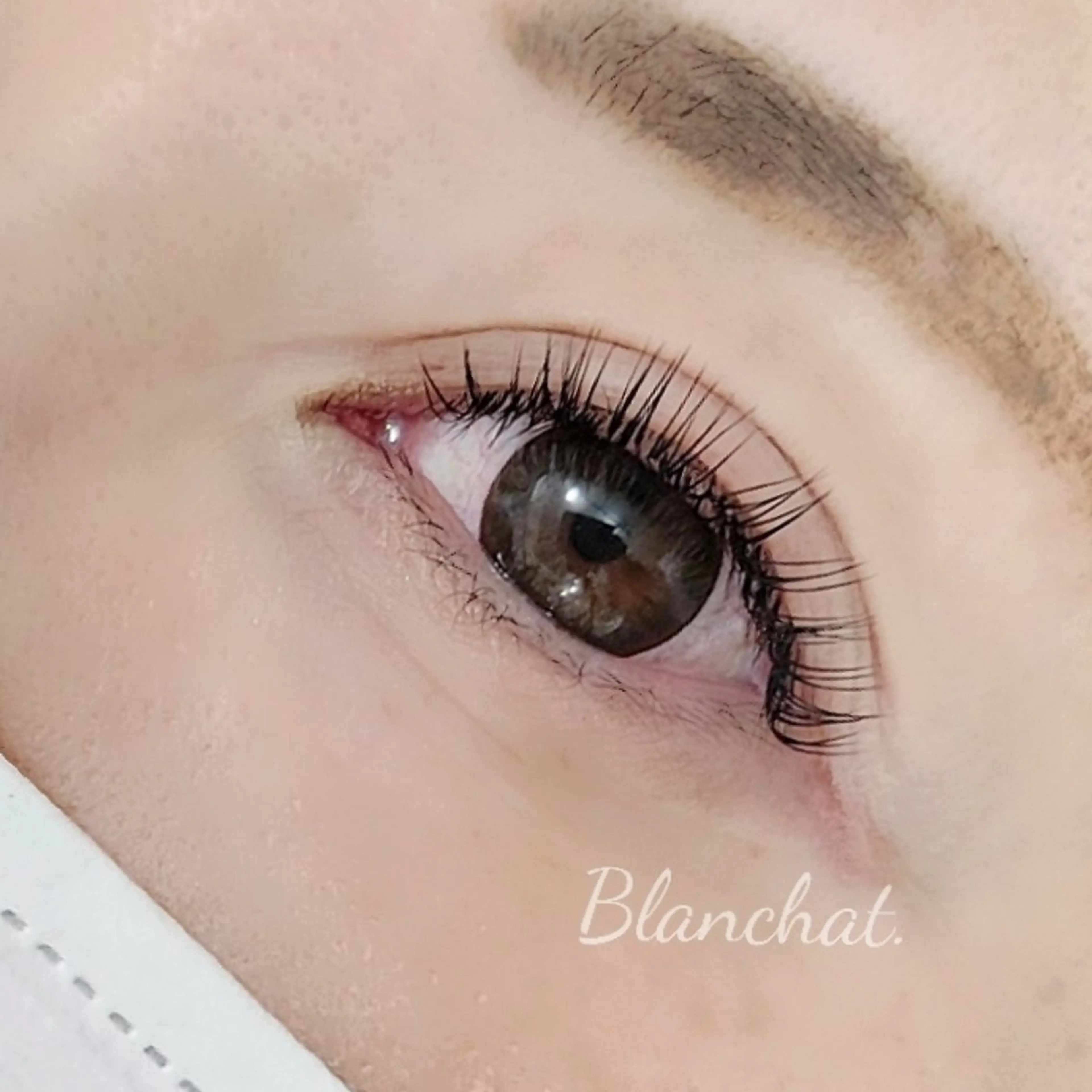 マツエク・マツパ 付け放題 フラットラッシュ Nailsalon Blanchat.所属・プライベートサロン ブランシャのマツエク・マツパデザイン
