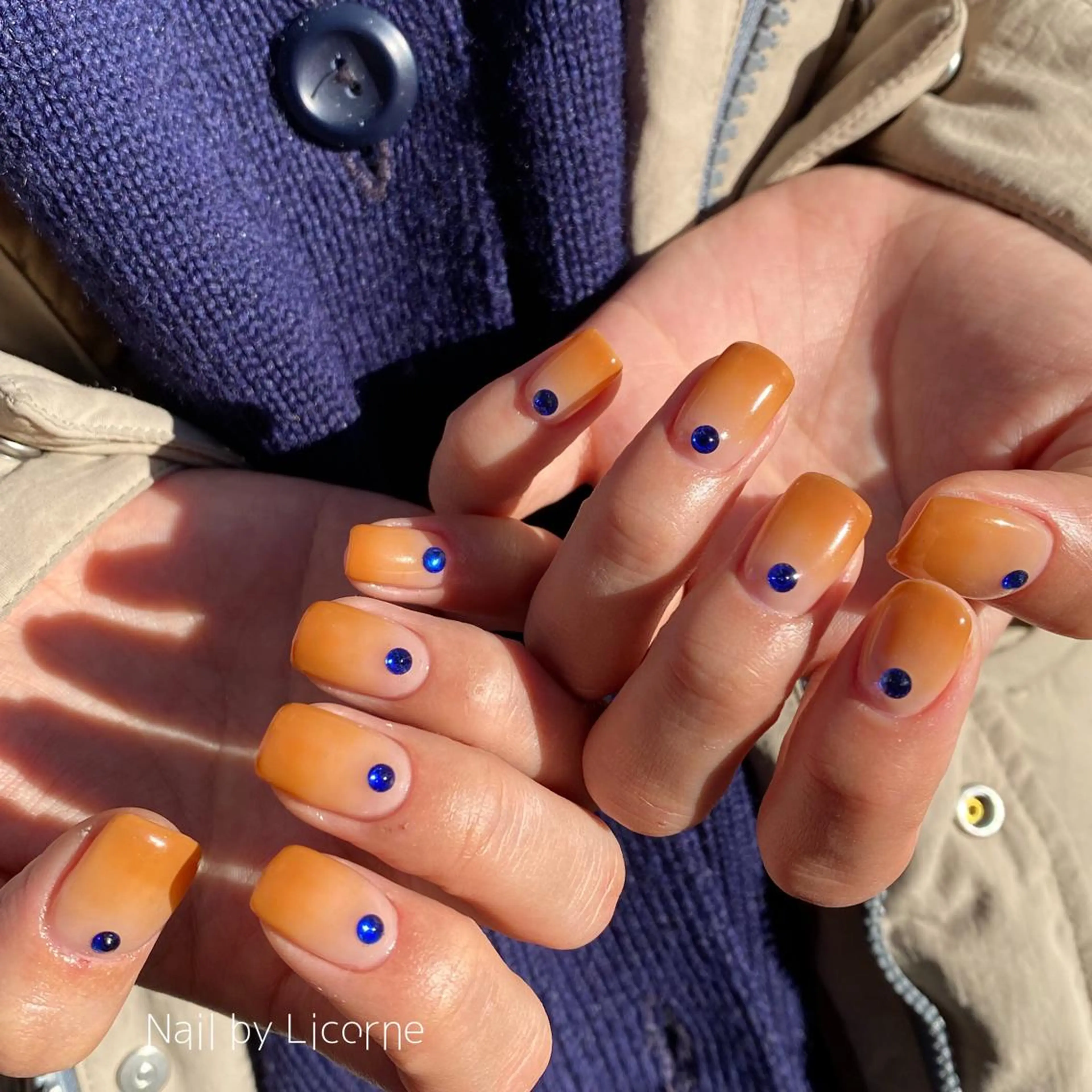 ネイル アートネイル オーロラネイル フレンチネイル 氷ネイル・うるうるネイル マグネットネイル ハンドネイル Nail by Licorneのネイルデザイン