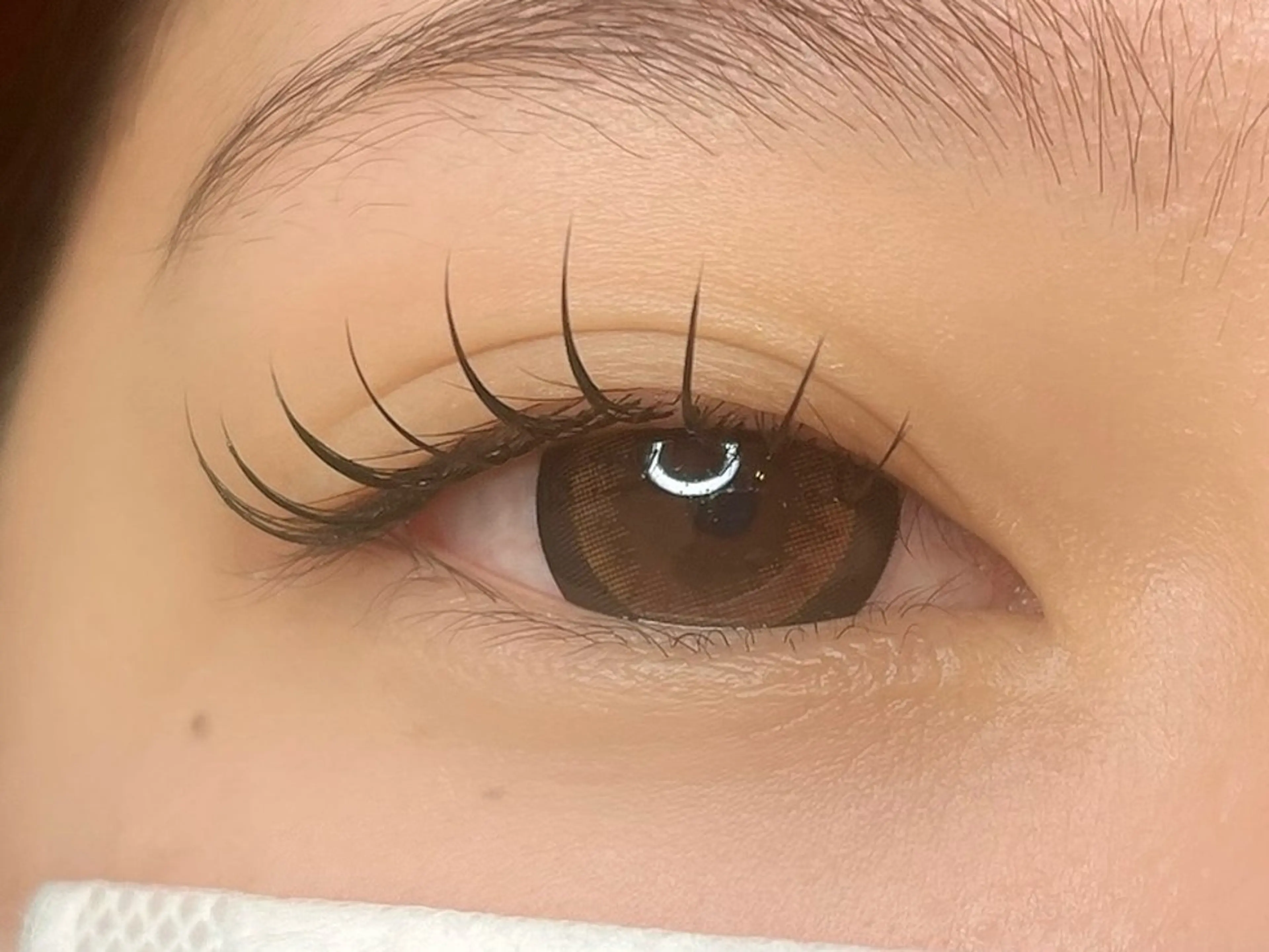 フラットラッシュ 120本 【オフ無】の写真