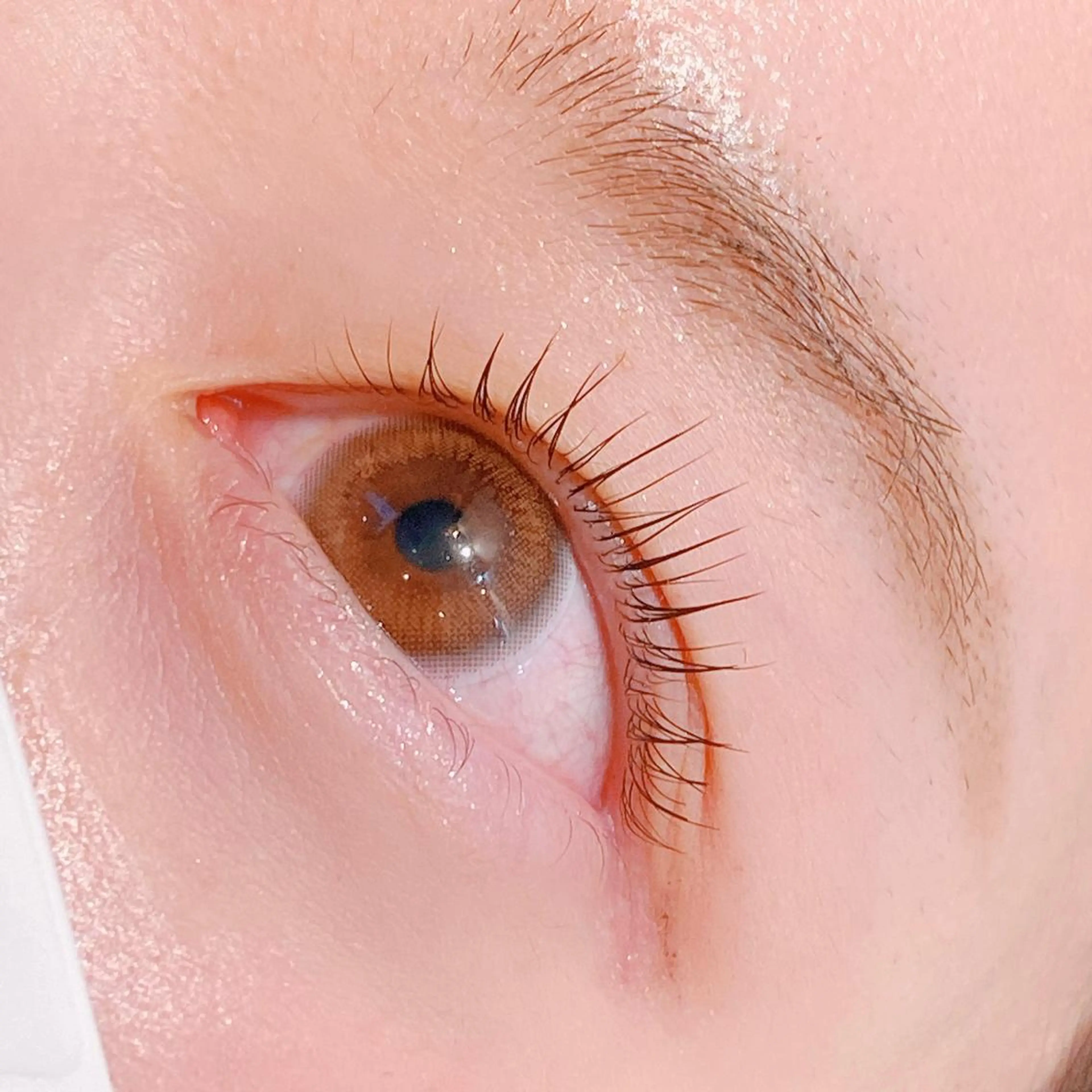 マツエク・マツパ chatran ishimochiのマツエク・マツパデザイン