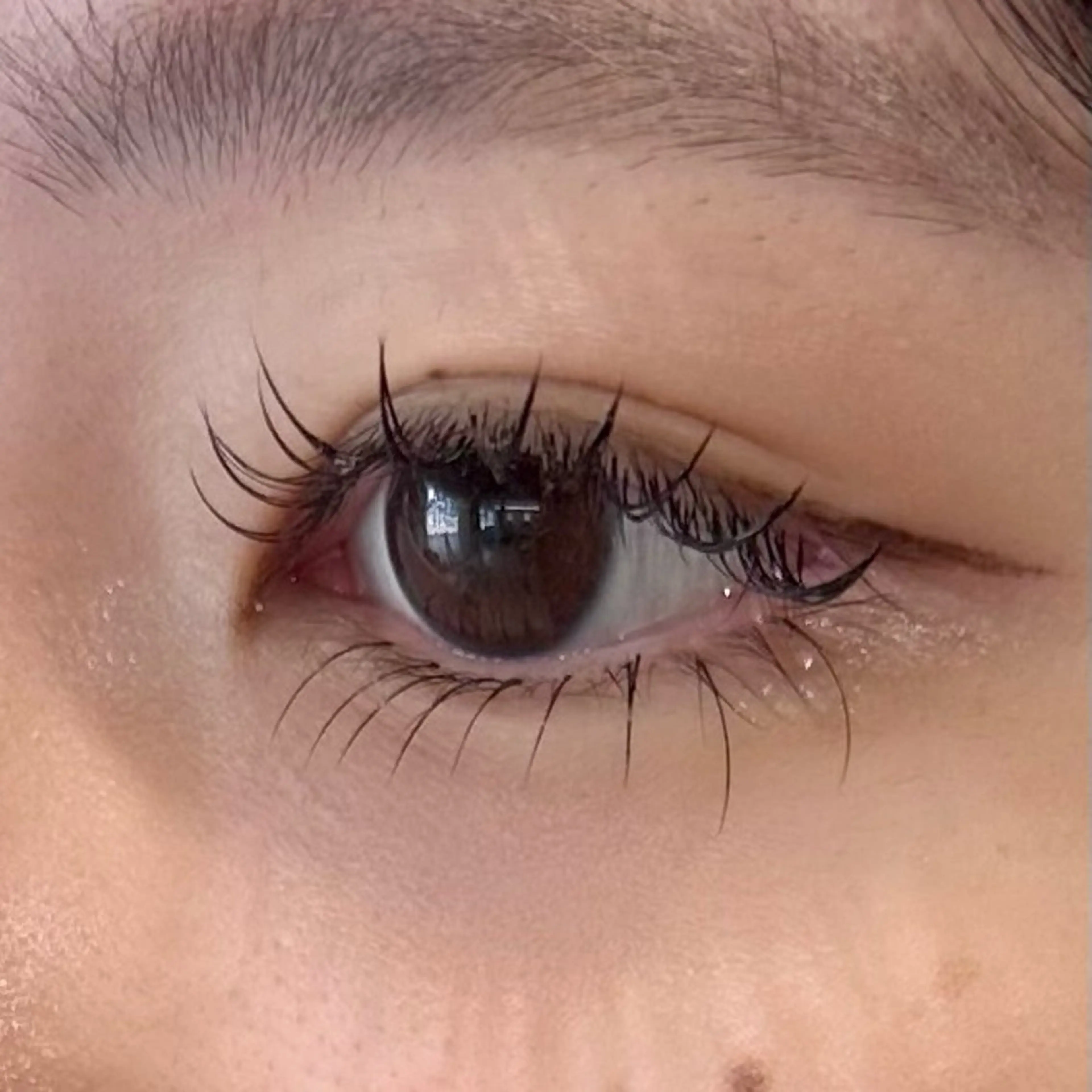 【12日まで】【モデル様募集】下まつげエクステ*.+ﾟの写真