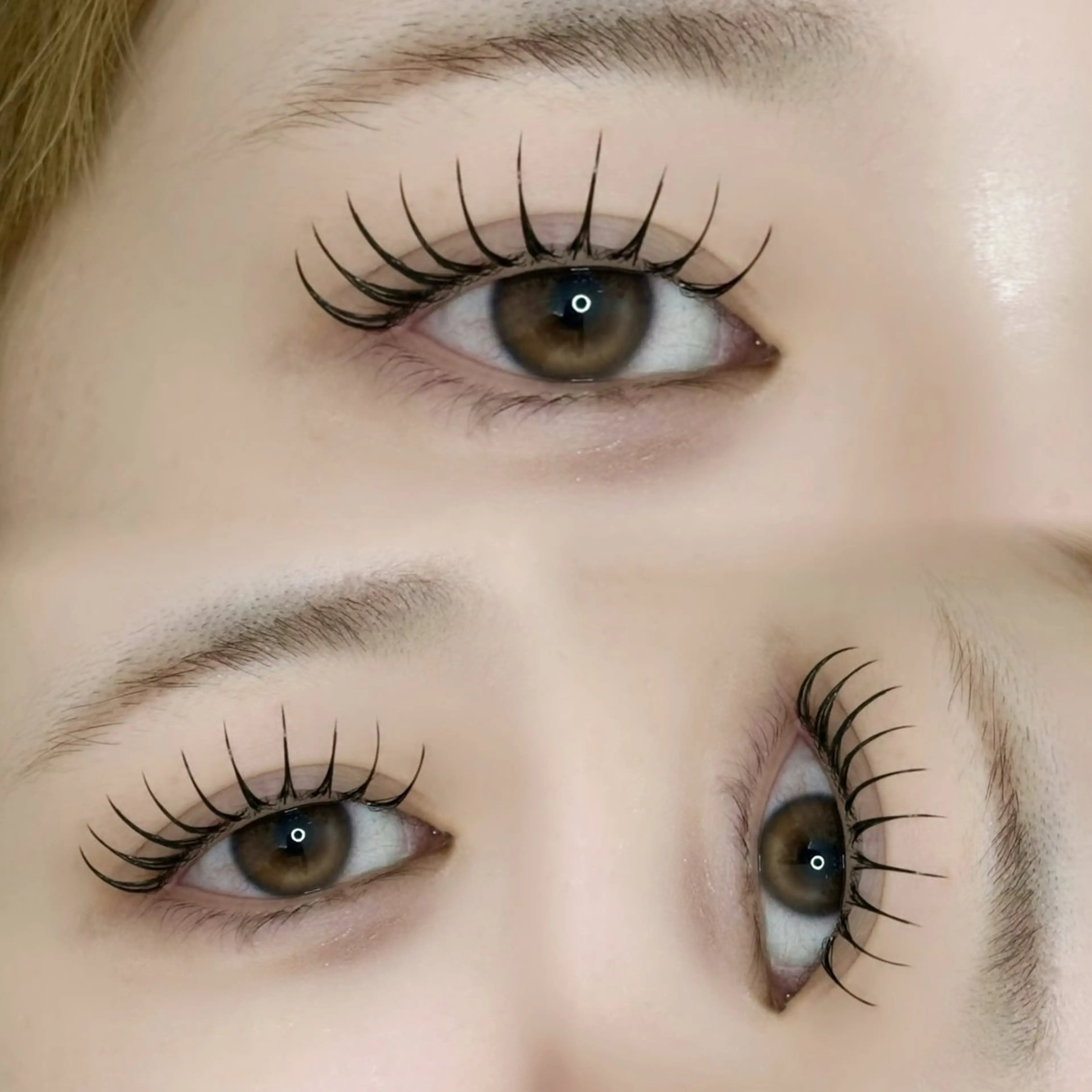 【ご予約はリクエストから🙇🏻‍♀️✨】LEDパリエク120本モデル様募集【オフ込み】の写真