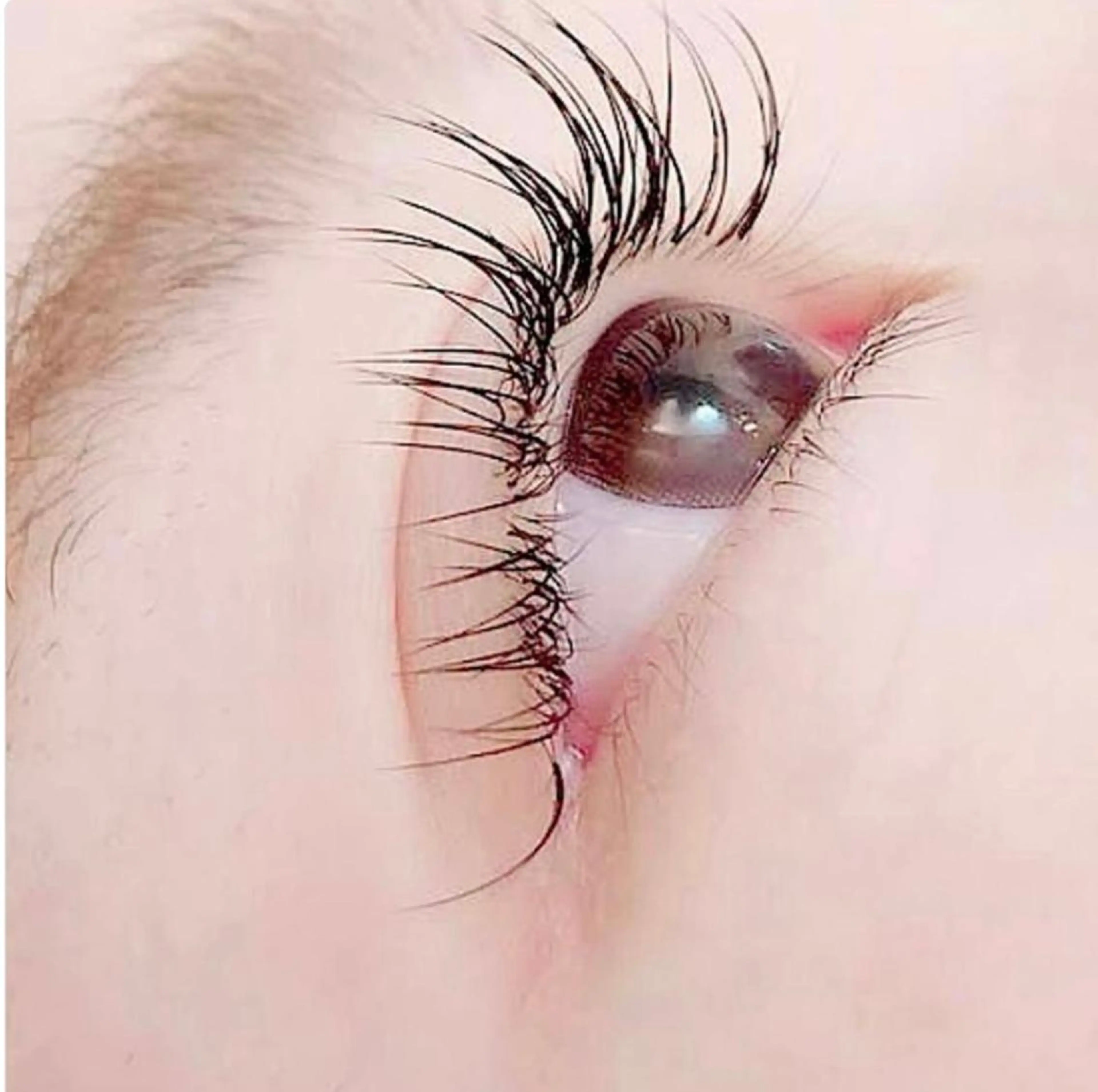 マツエク・マツパ 🌸Leviju桂店 店長Saki🌸のヘアスタイル