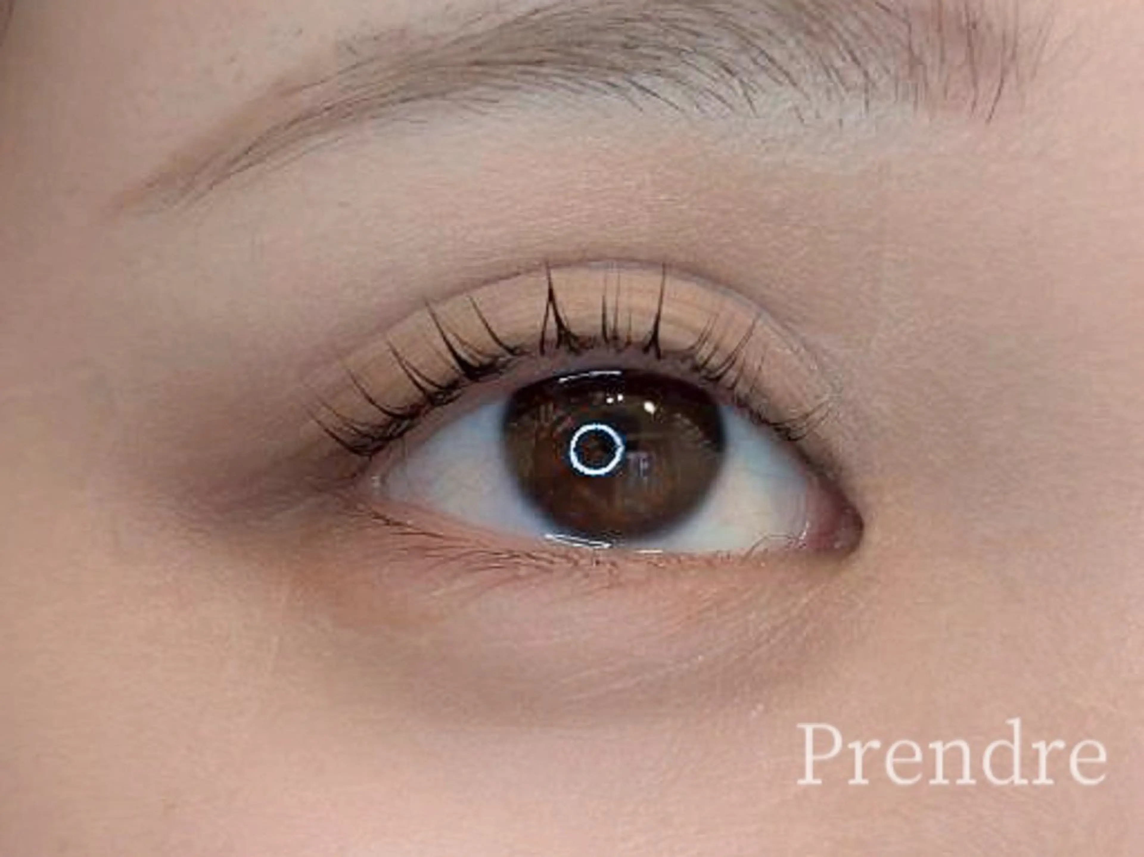 マツエク・マツパ まつげパーマ 一重×まつ毛パーマ プランドール スタッフのマツエク・マツパデザイン