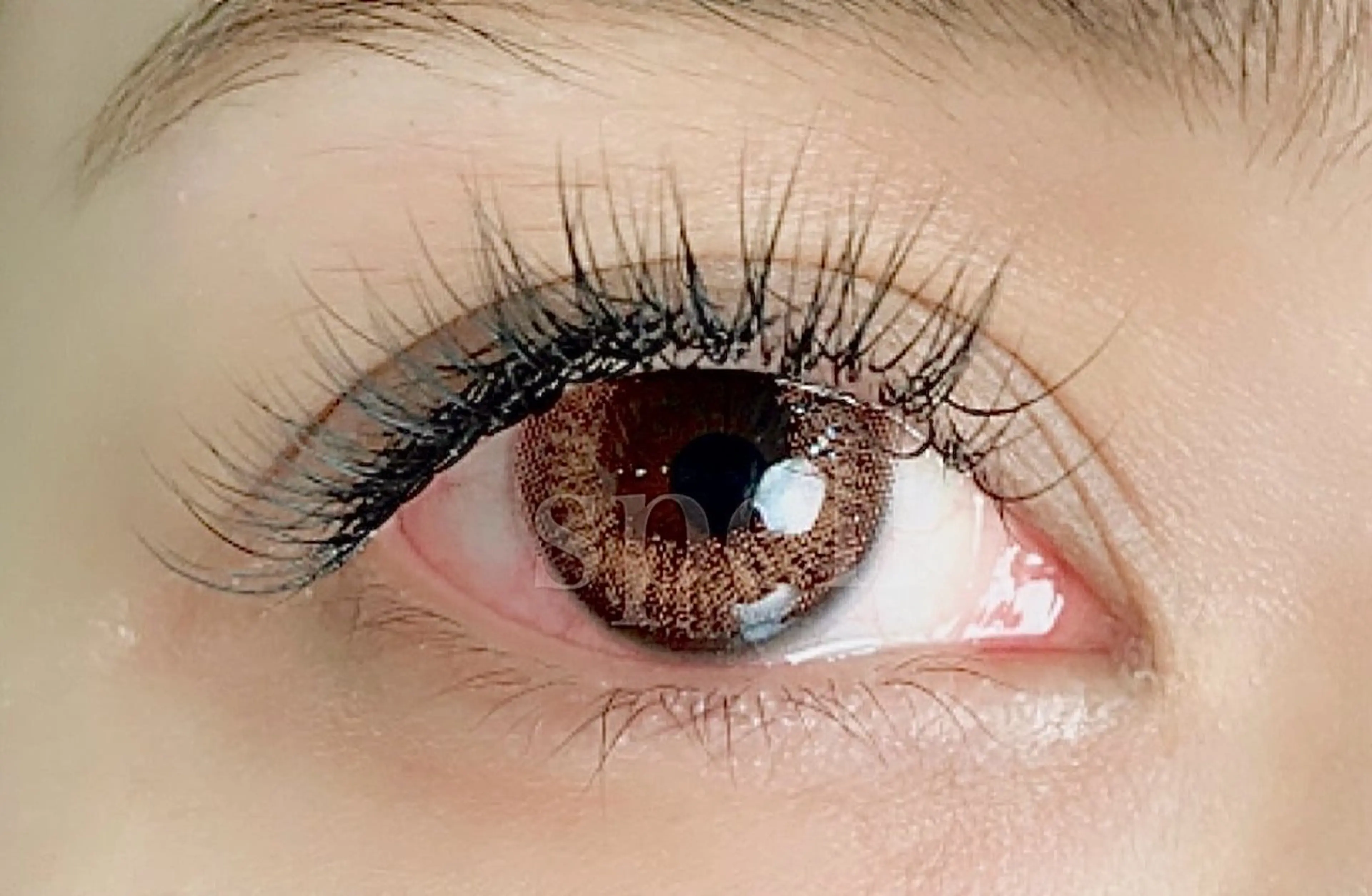 マツエク・マツパ spell_eyelash所属・spell eyelashのマツエク・マツパデザイン