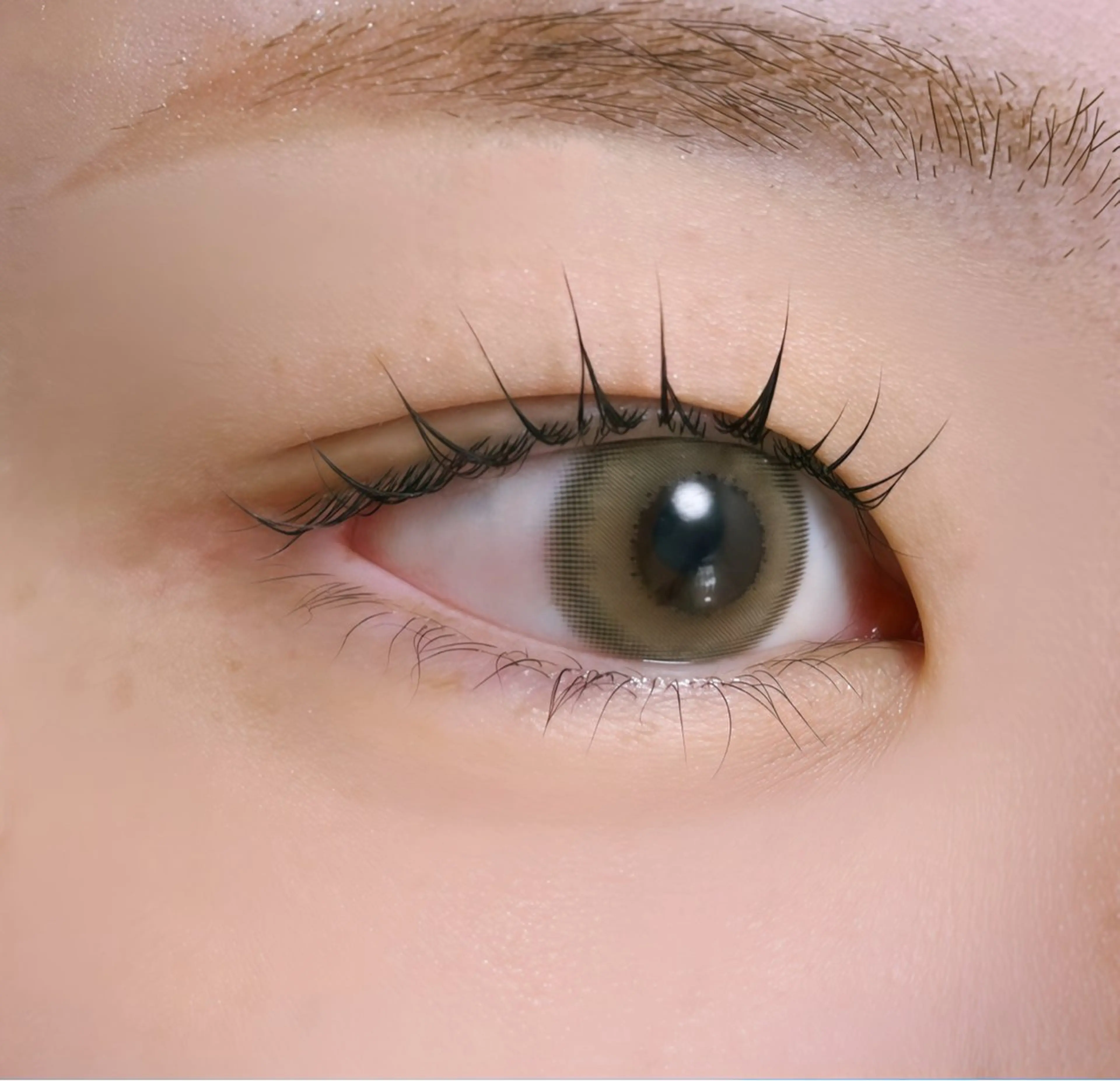 【新店舗モニター🈹】まつげパーマ💝デザインカール✨当日予約歓迎✨の写真