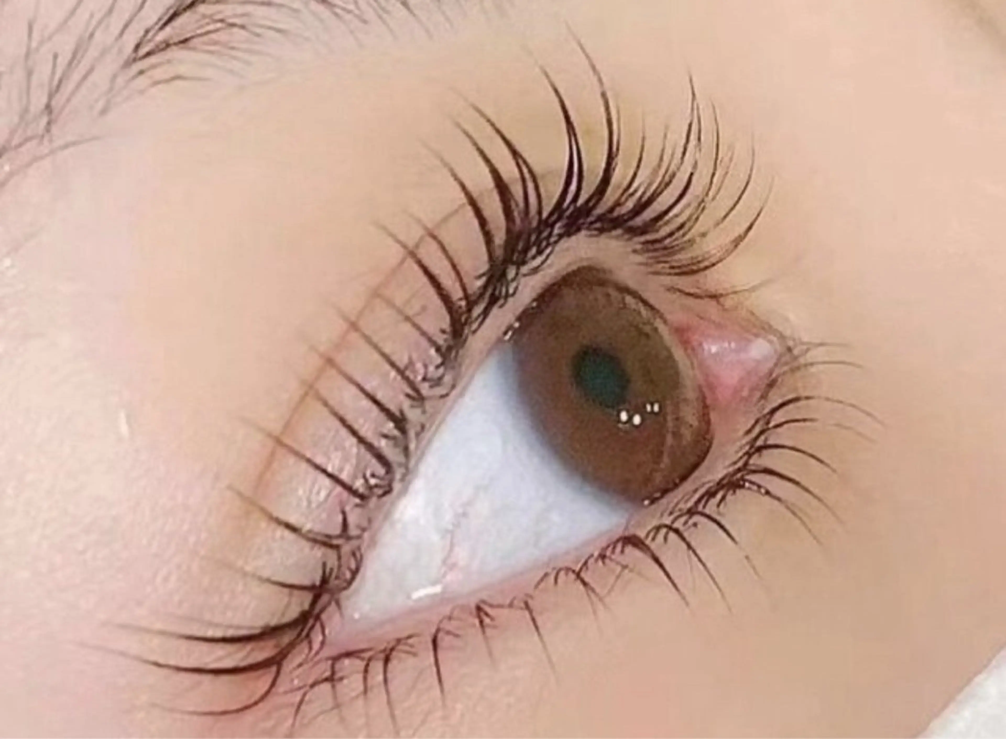 🍁SNS話題🍁人気まつ毛パーマ上下セット👀トリートメント付きの写真