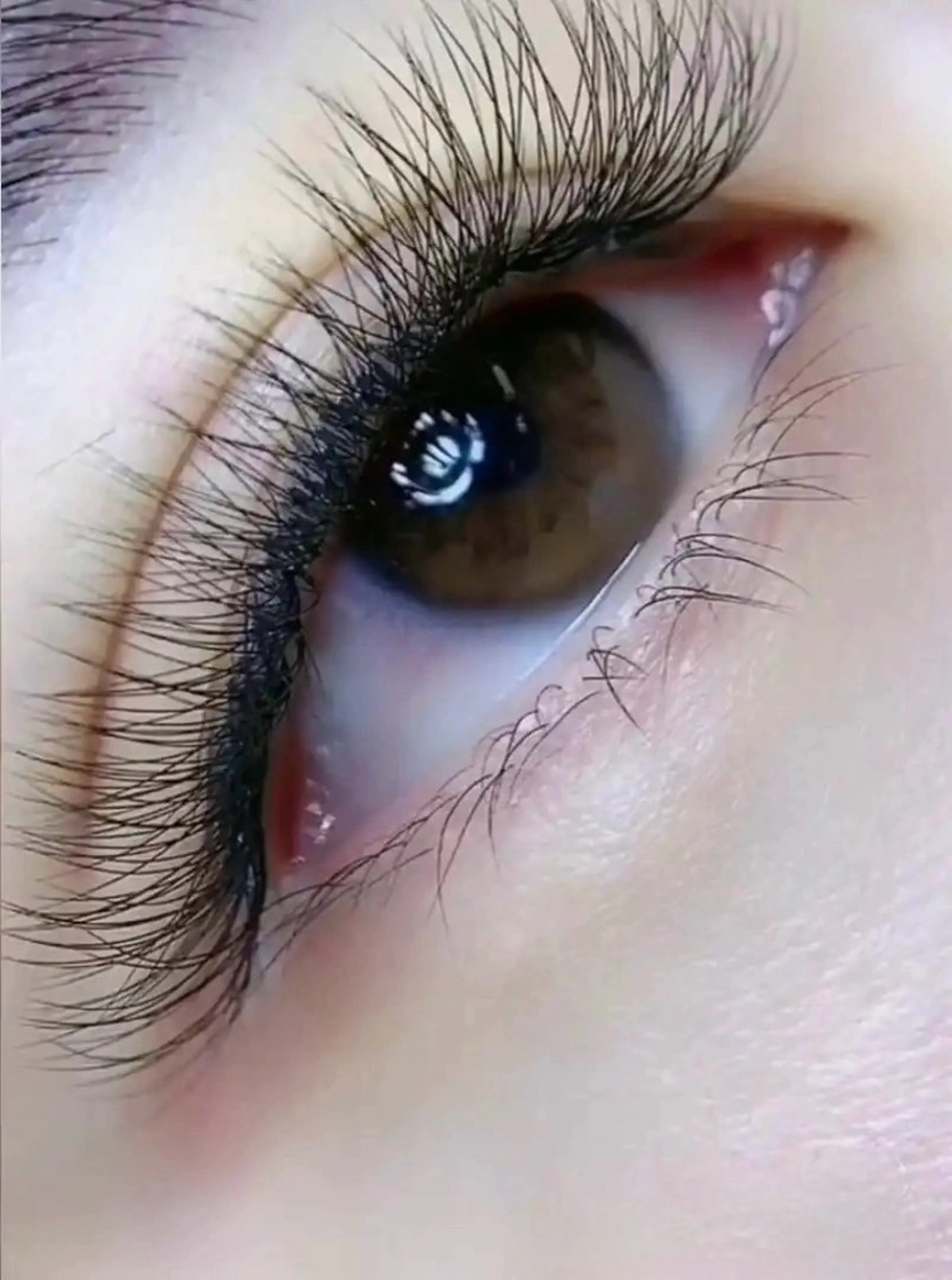 マツエク・マツパ マツエク AI eyelash ルナのマツエク・マツパデザイン