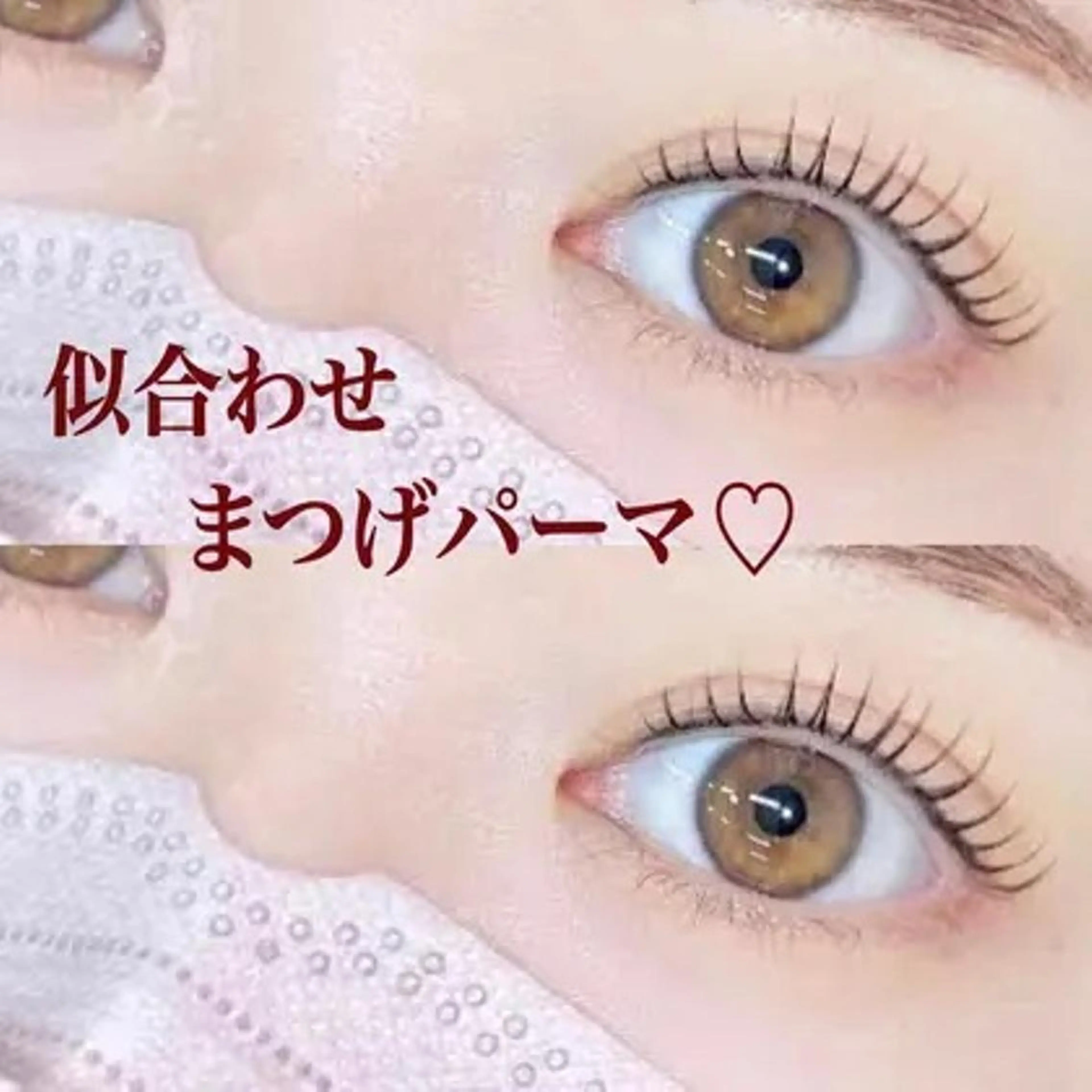 まつげパーマ【メーテルロッド使用】目尻流してタレ目風に✨ 束感コーティング仕上げ付き✨️の写真