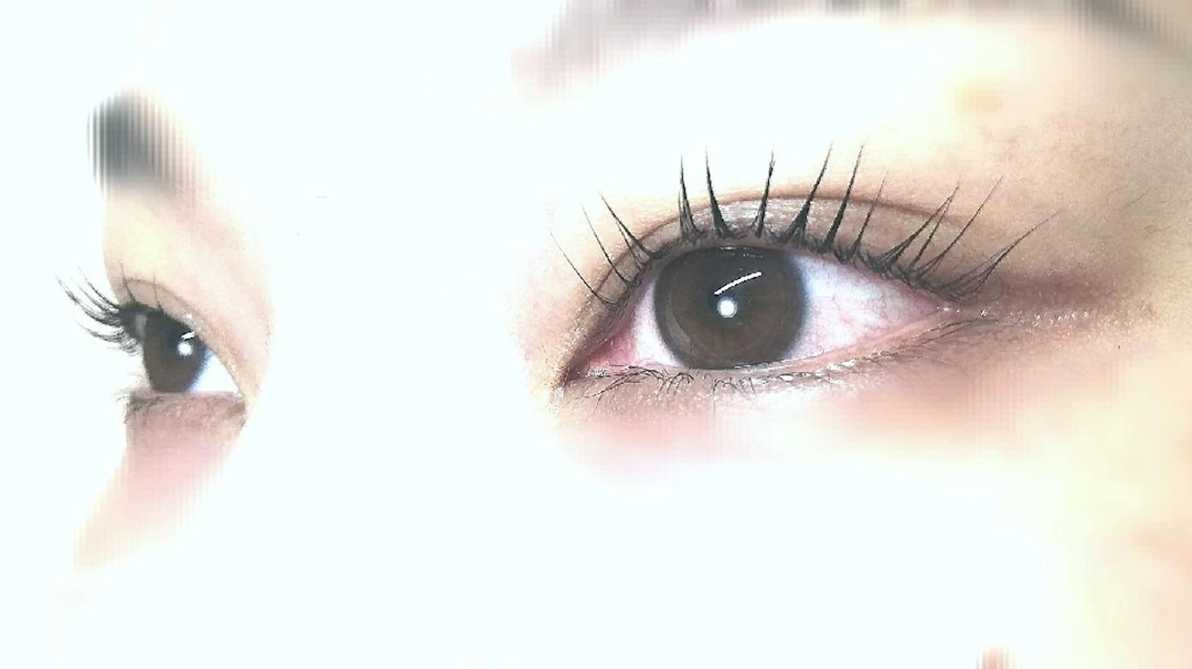 マツエク・マツパ Lカール angelux 所属・完全個室サロン🌹 angelux🌹のマツエク・マツパデザイン