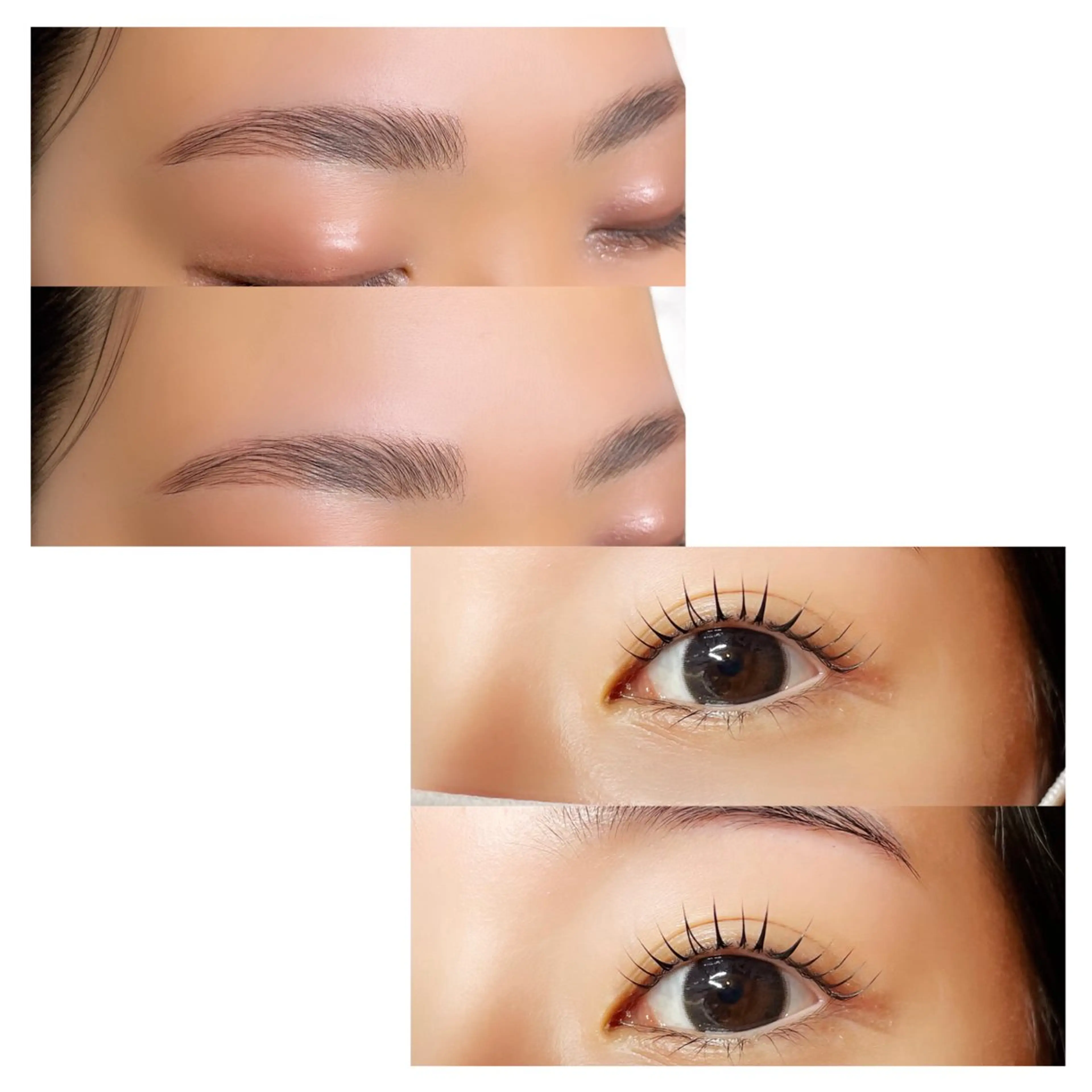 セットでお得🉐パリジェンヌラッシュリフト+ハリウッドブロウリフト🌹🦋の写真