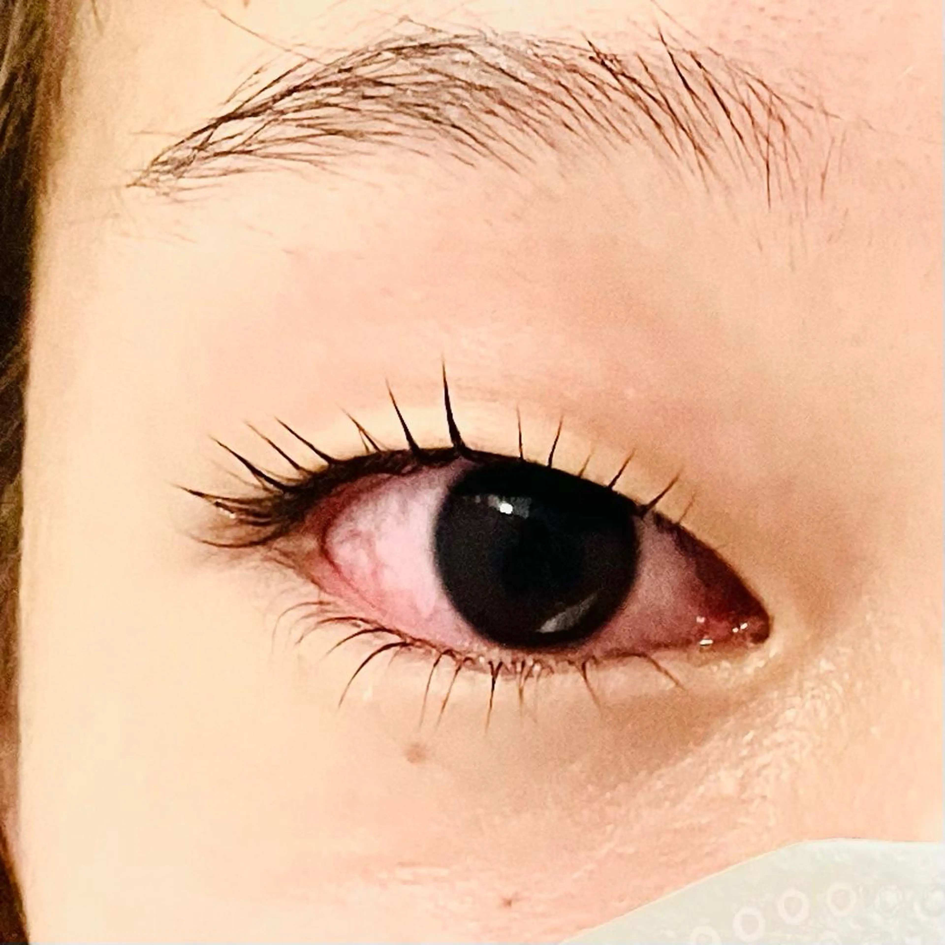 マツエク・マツパ まつげパーマ 下まつげエクステ フジ ワラの眉毛・アイブロウイメージ