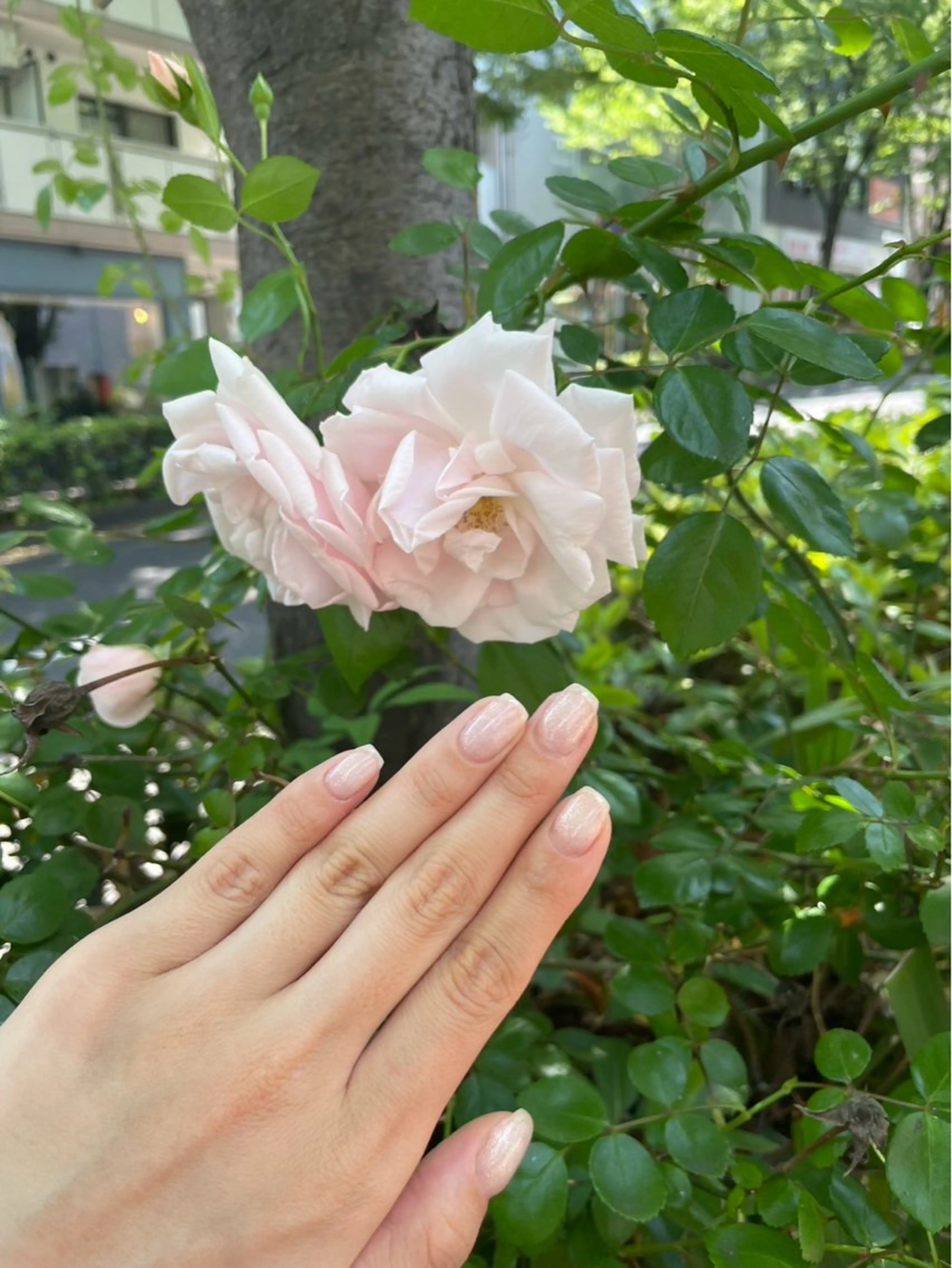 ネイル 荒瀬 花音のネイルデザイン