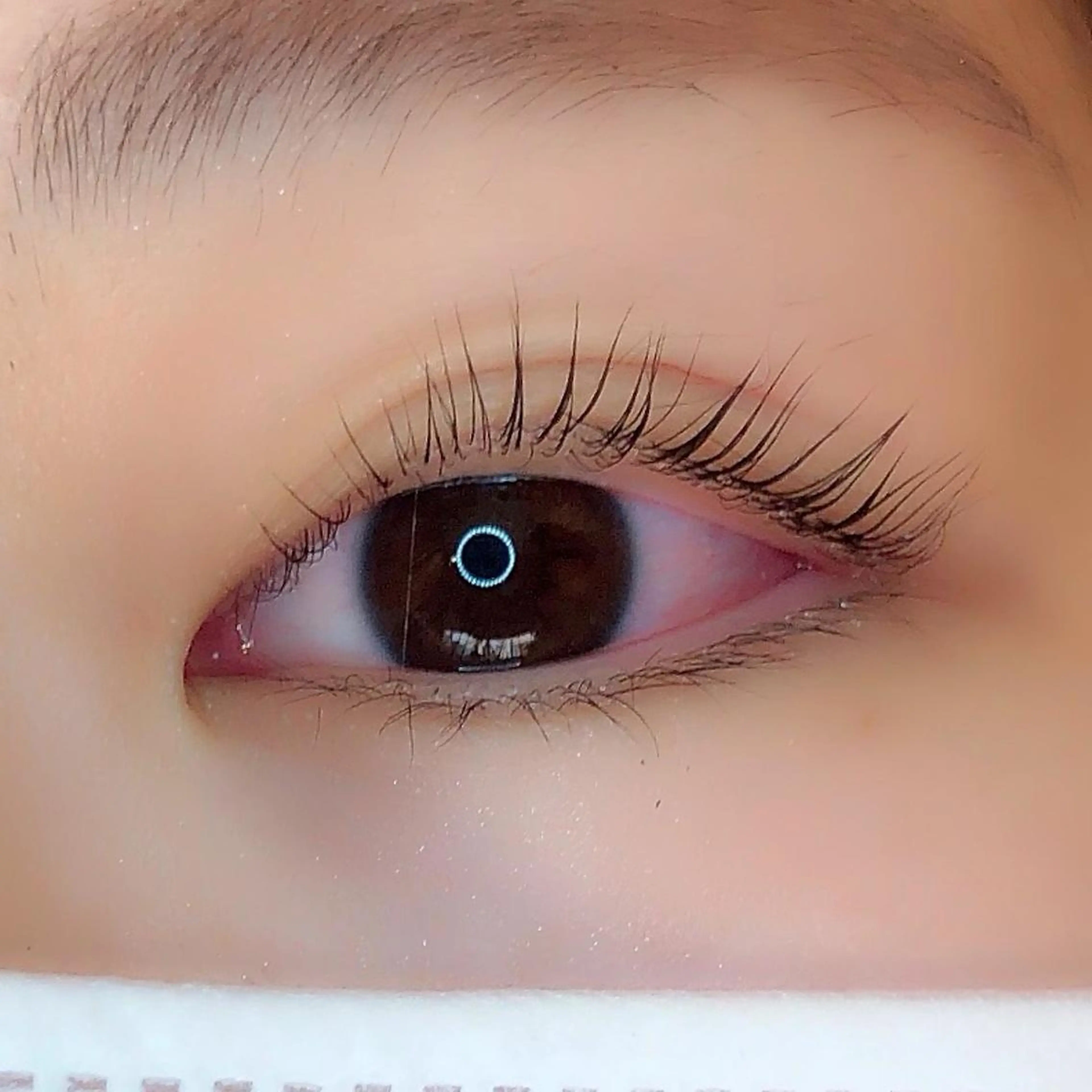 マツエク・マツパ eight eyelash池袋店のマツエク・マツパデザイン