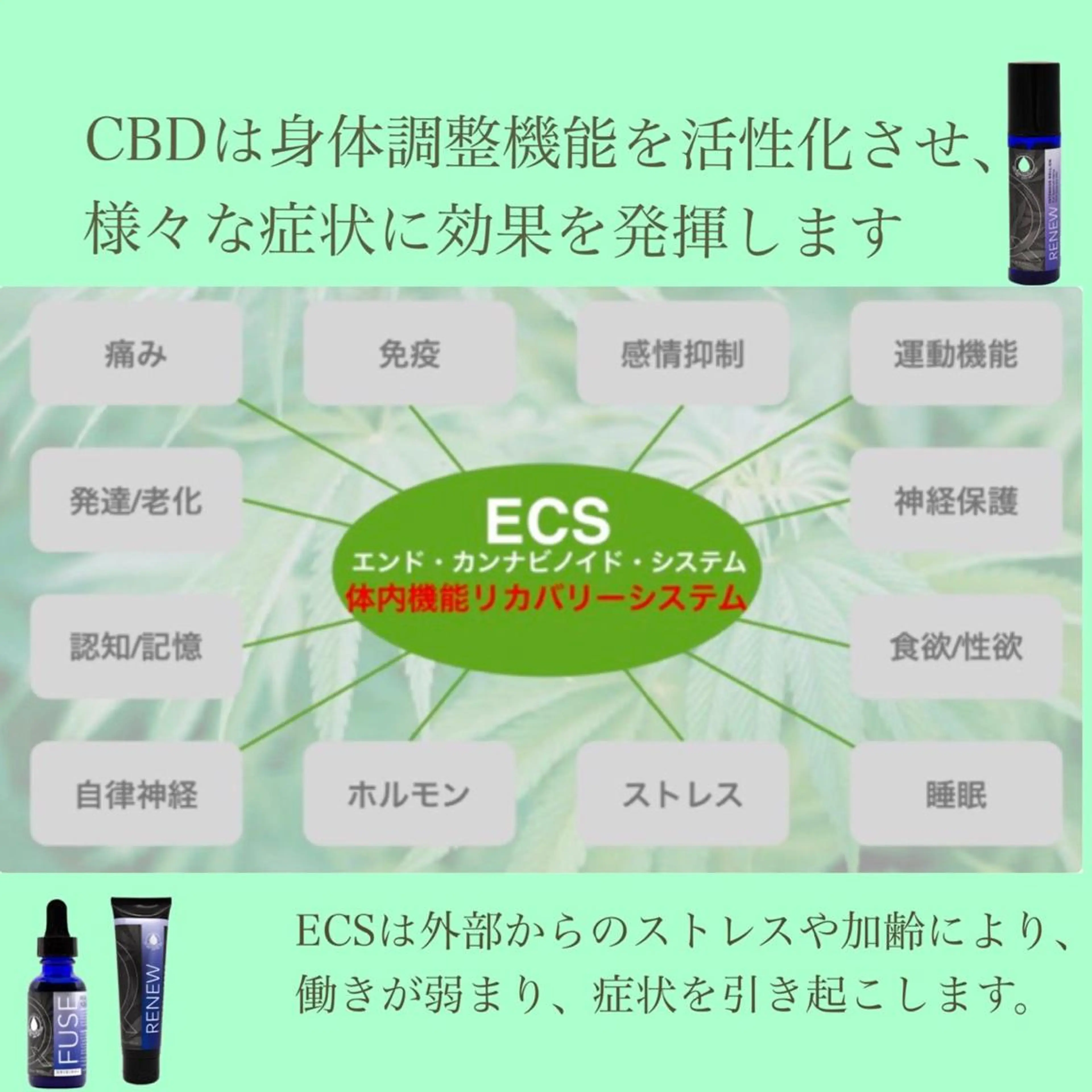 CBDフェイシャルエステの写真