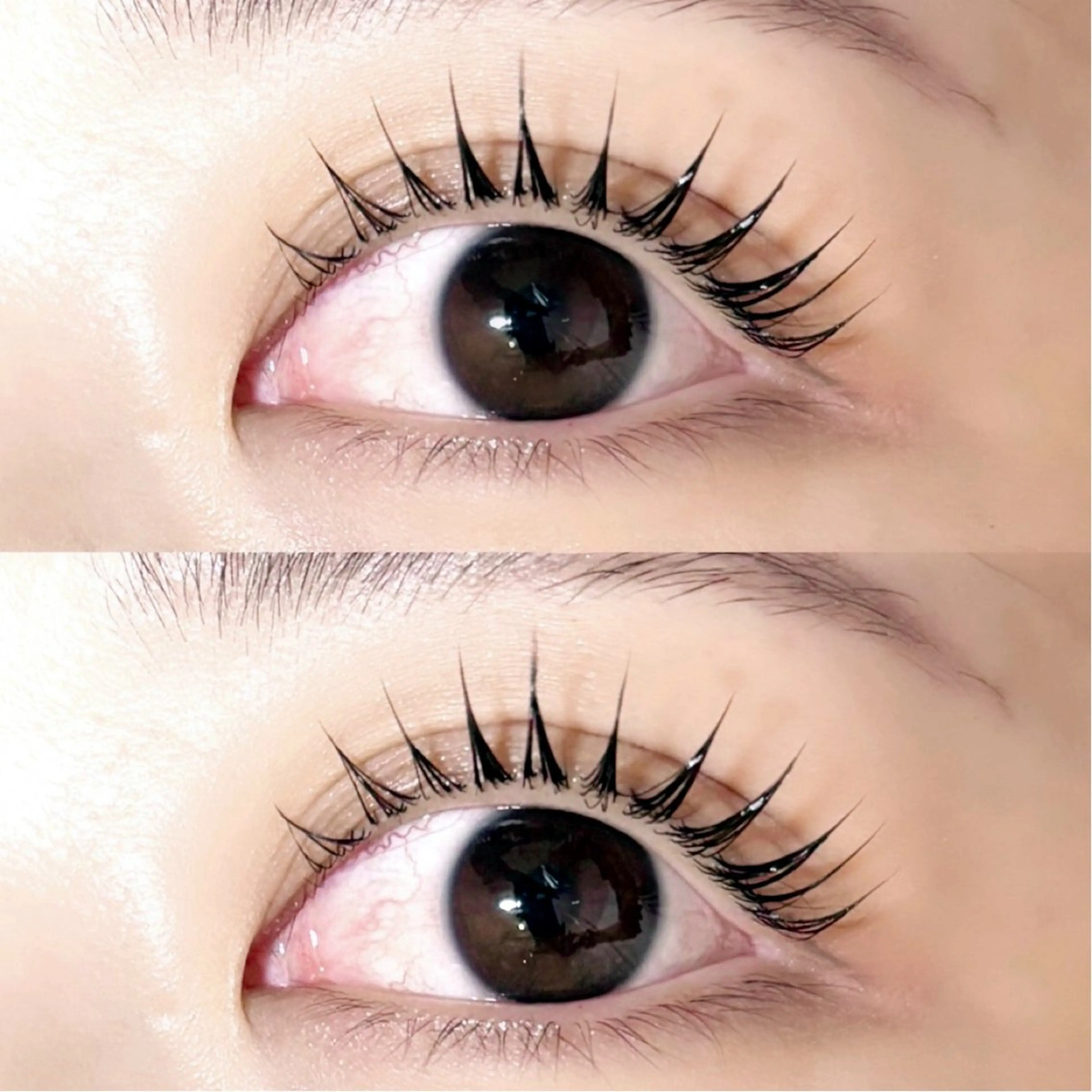 マツエク・マツパ パリジェンヌラッシュリフト Lupines Asahi🔆のマツエク・マツパデザイン