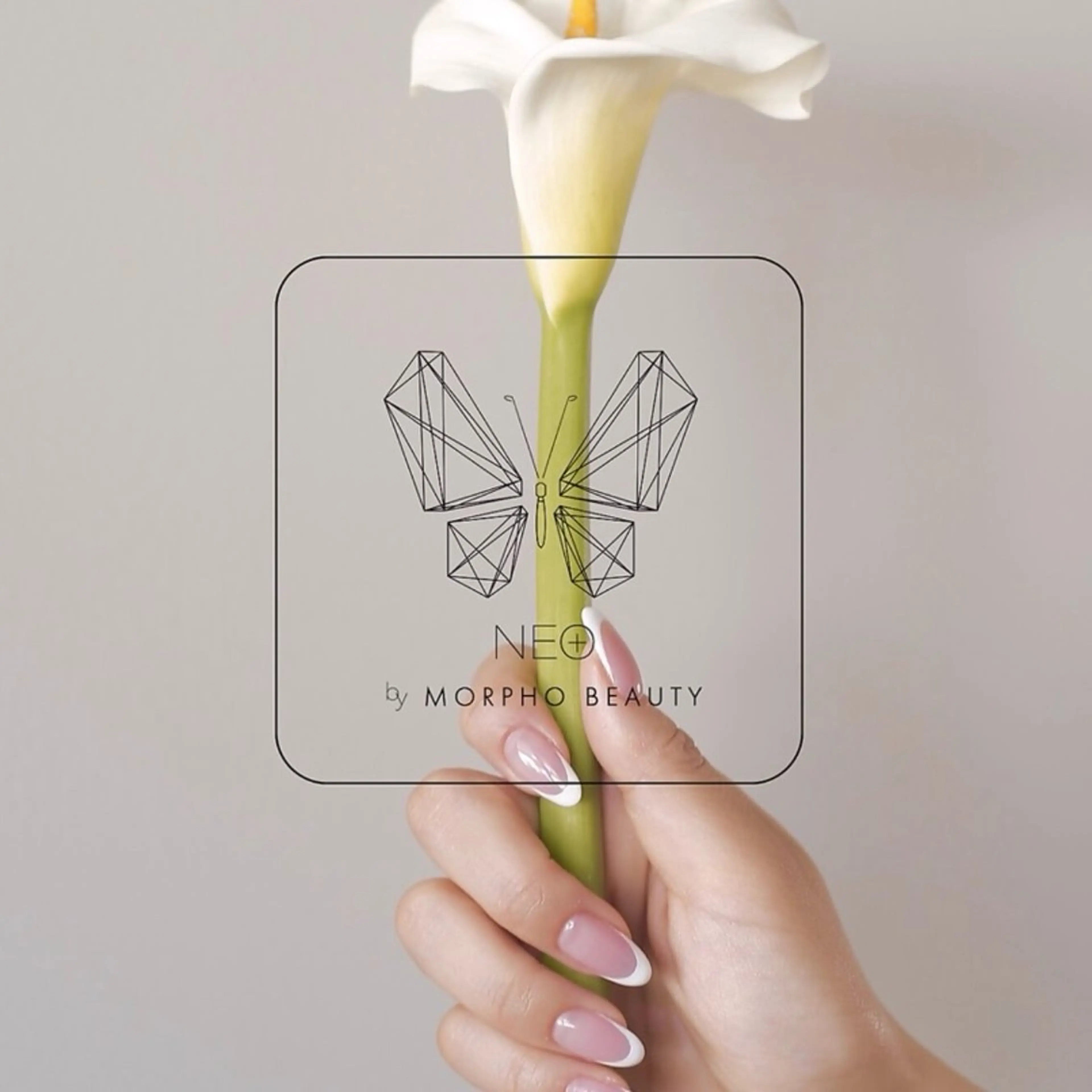 ネイル NEObyMORPHOBEAUTY所属・NEO Morpho beautyの眉毛・アイブロウイメージ