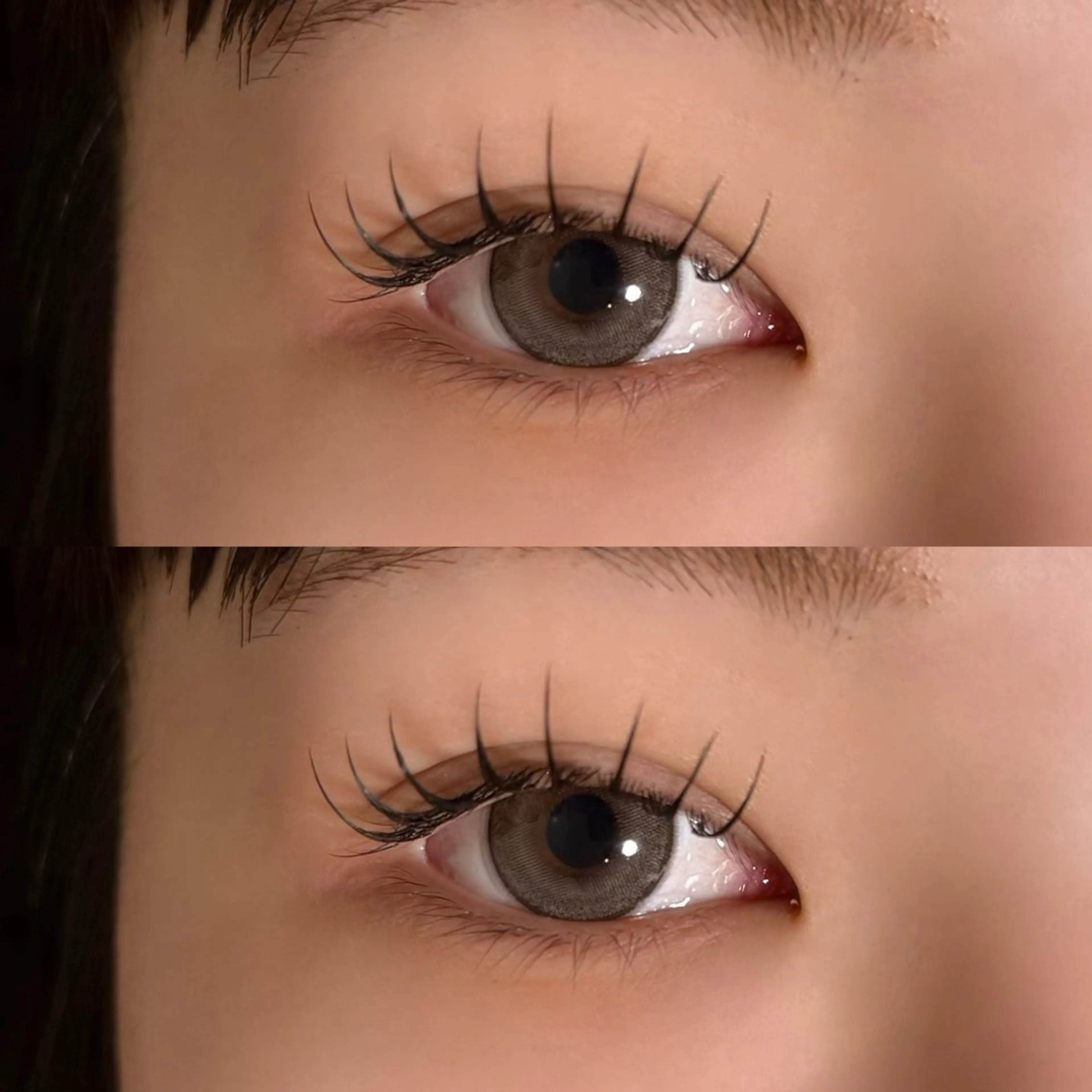 マツエク・マツパ フラットラッシュ マツエク 🐾ROAR🐾 HAZUKIのマツエク・マツパデザイン