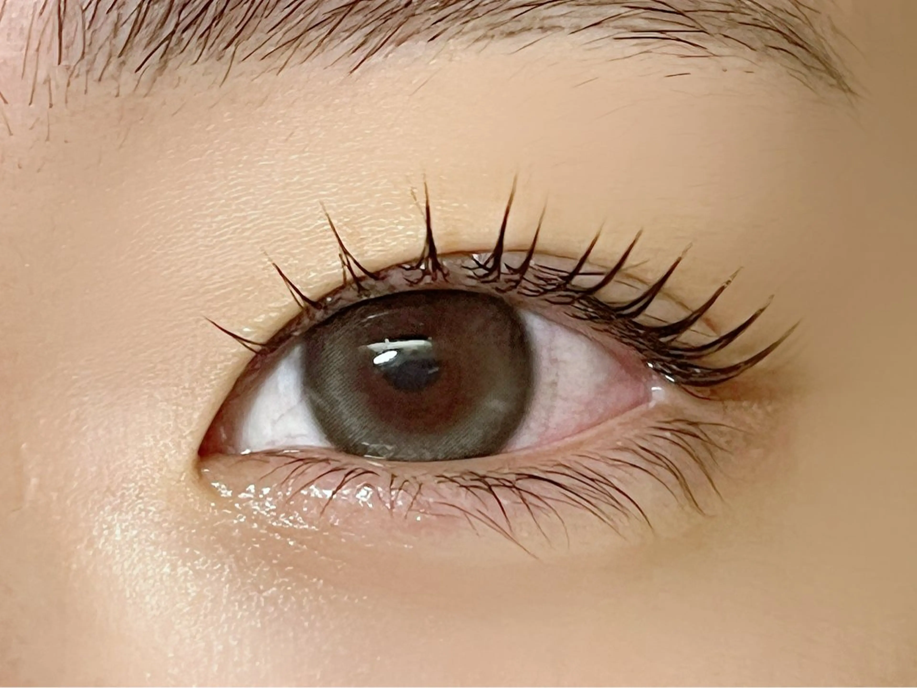 マツエク・マツパ マツパ Rinto/ makoの眉毛・アイブロウイメージ