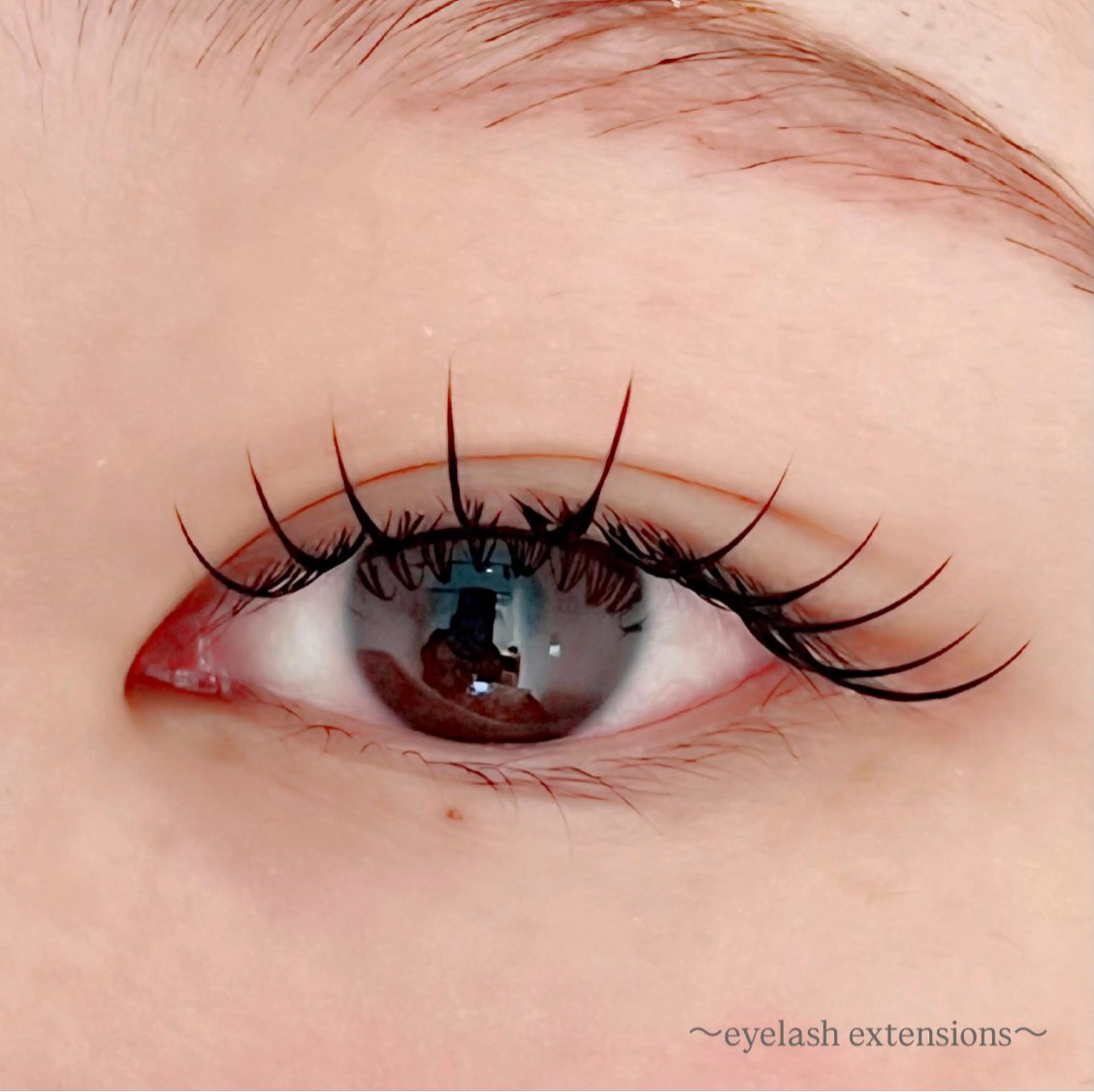 マツエク・マツパ フラットラッシュ マツエク 田村 莉子のマツエク・マツパデザイン