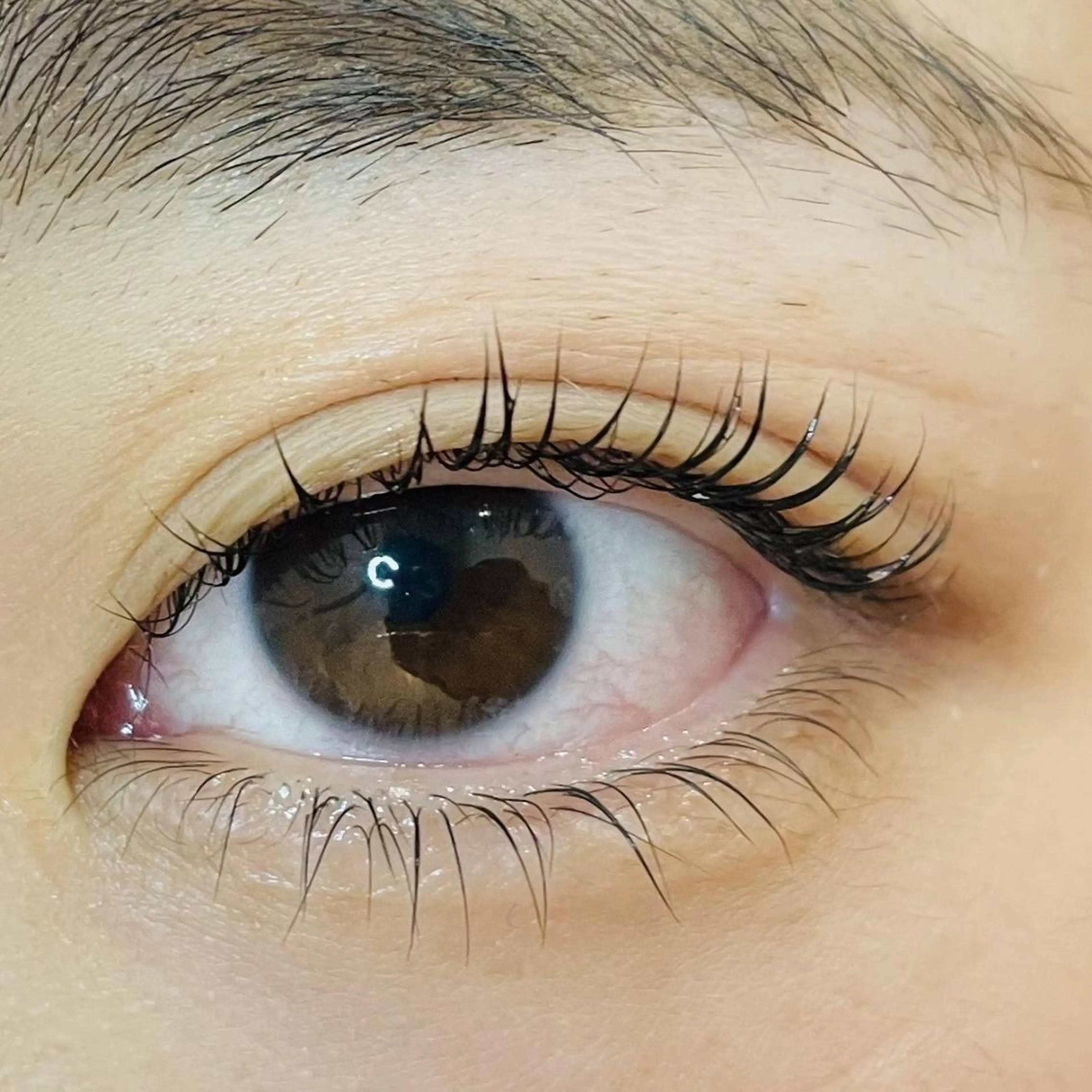 【ナチュラル派に】次世代まつ毛パーマ🌟上下ラッシュリフト👀✨の写真