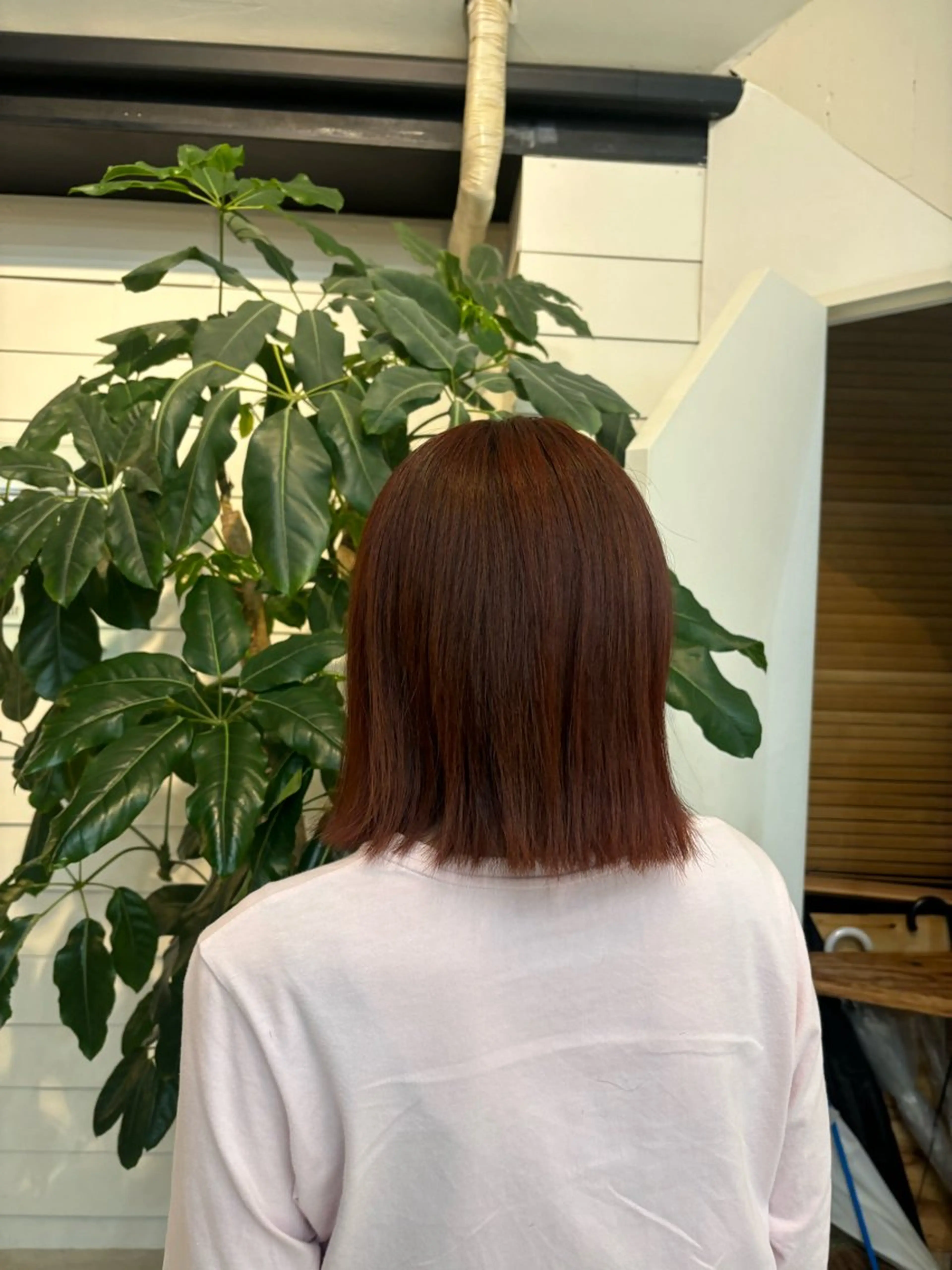 ショート カラー オレンジ 宮本 エリカのヘアスタイル
