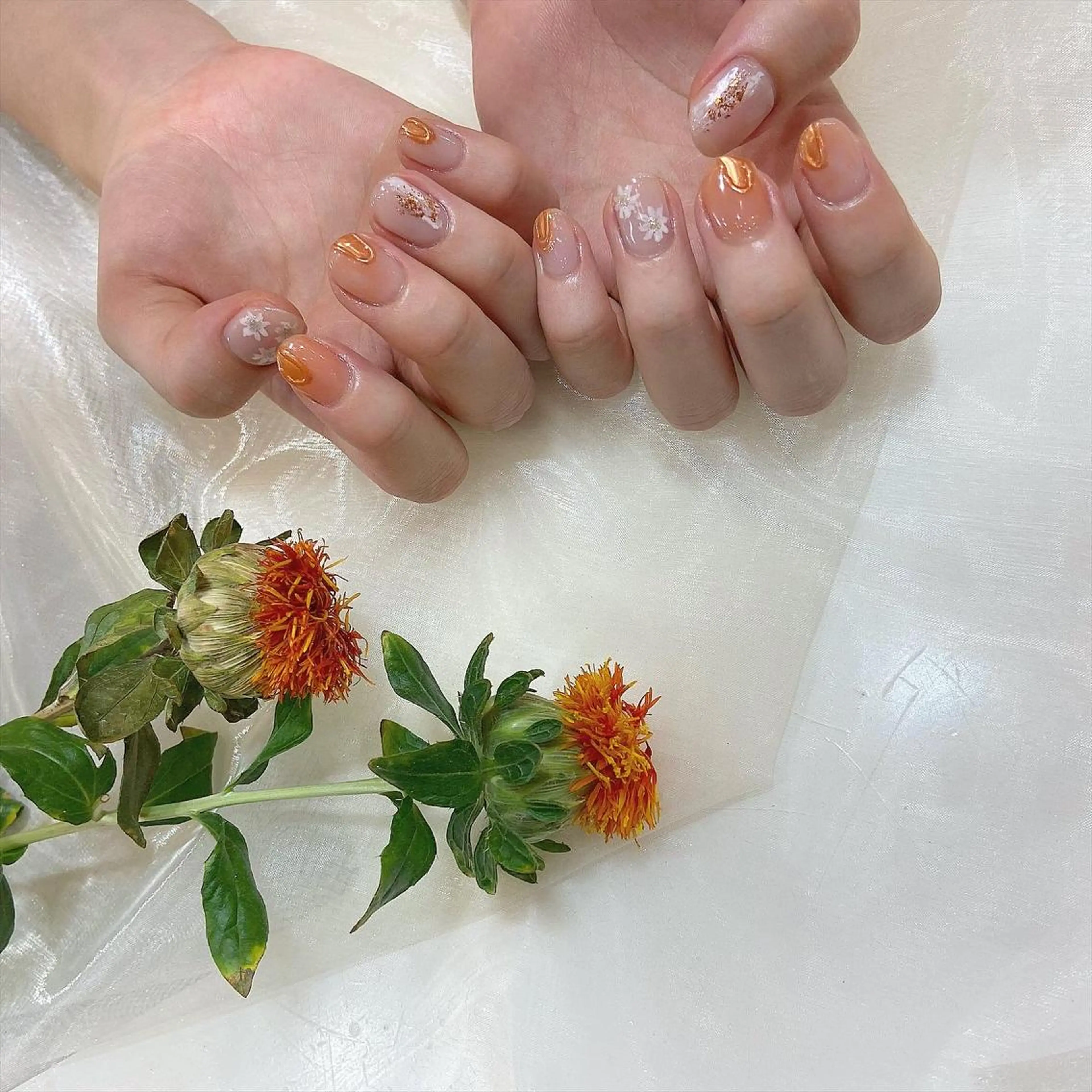 ネイル ハンドネイル 𝕄𝕚𝕪𝕦🤍 自由が丘⌇パラジェルのネイルデザイン