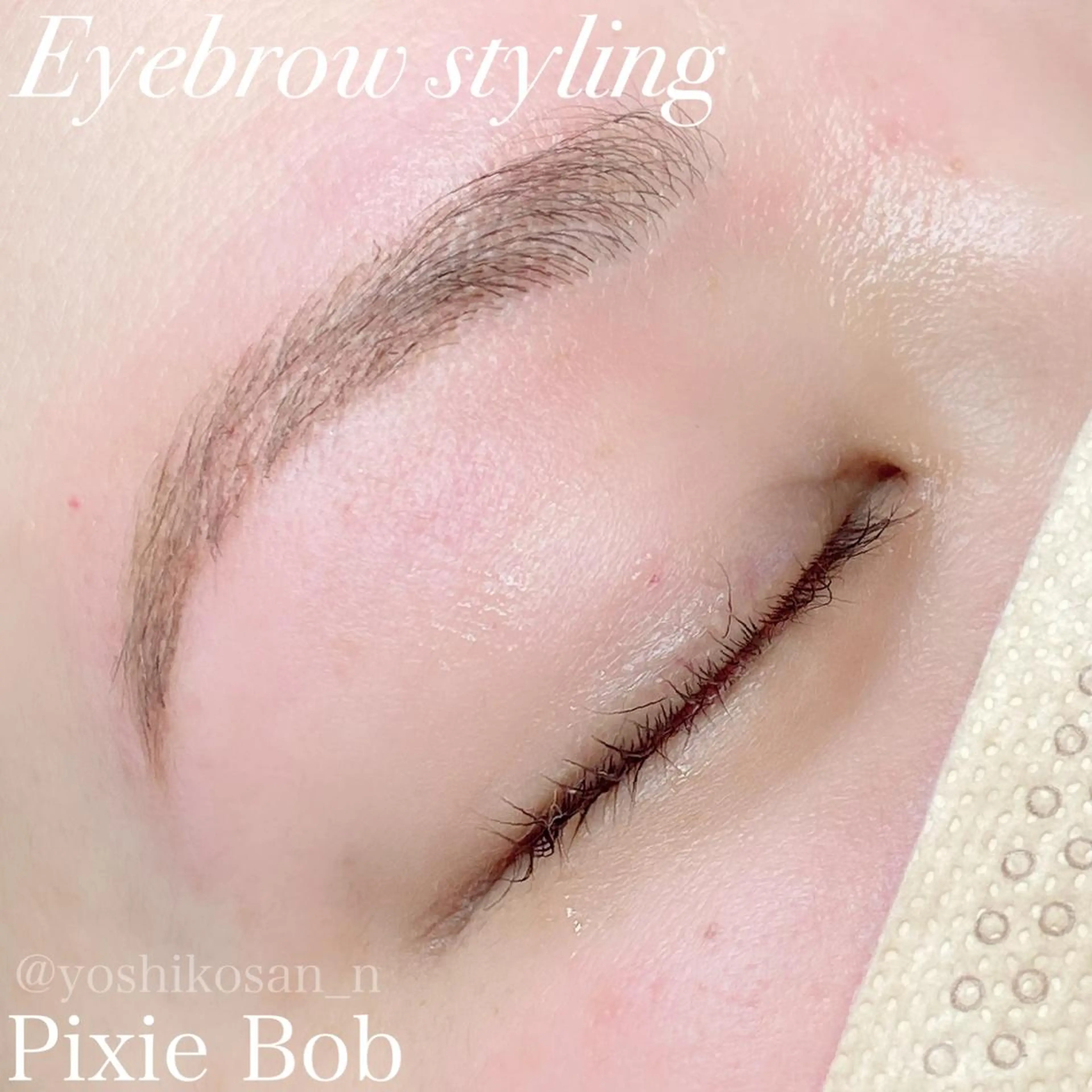アイブロウ ワックス脱毛 眉カット その他(アイブロウ) Pixie Bob 🐈‍⬛　位田のヘアスタイル