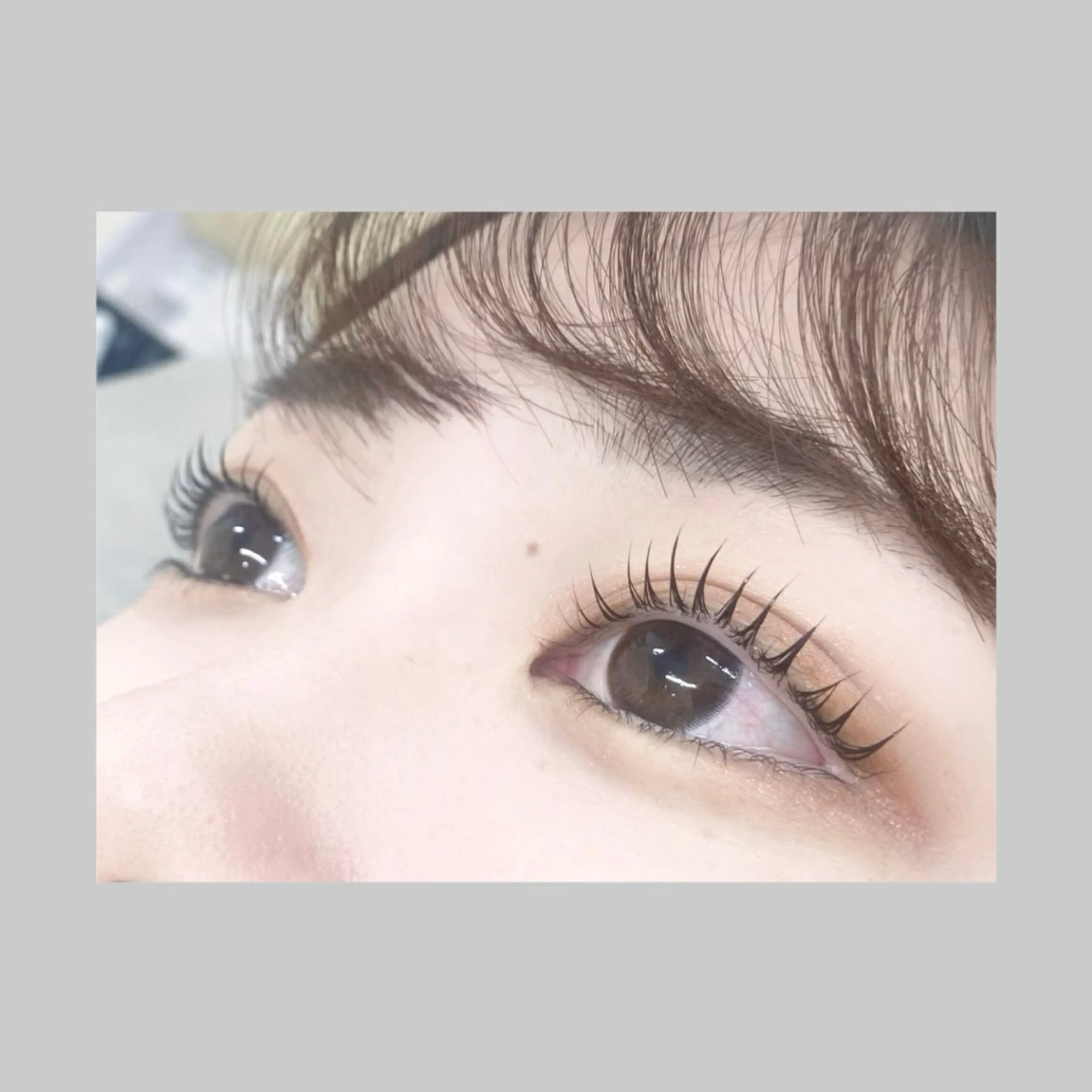 マツエク・マツパ マツパ 🌱Alba 池袋🌱  関根の眉毛・アイブロウイメージ