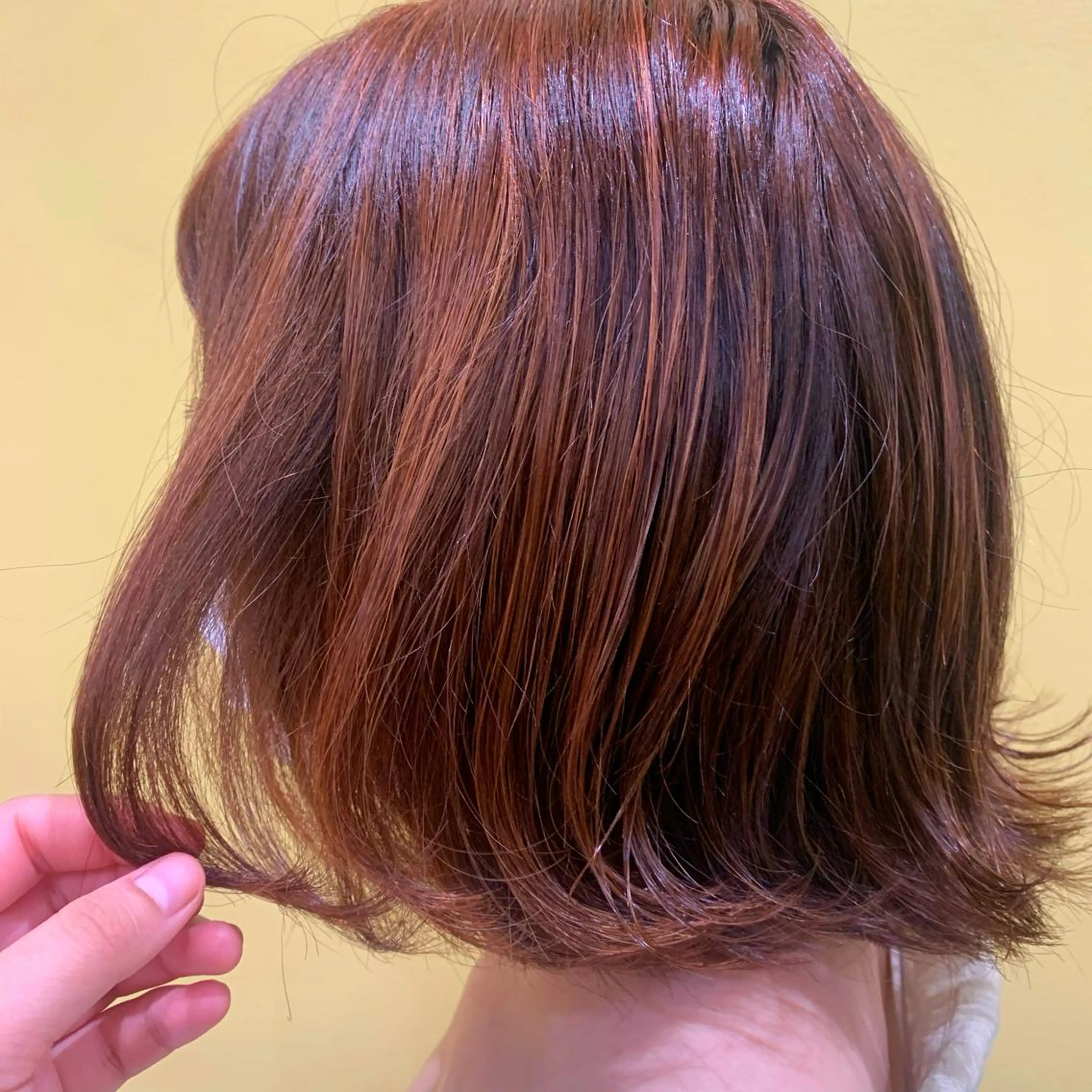 ショート カラー ハイライトカラー オレンジ ハイライト N° jillva 腰山 菜々美のヘアスタイル