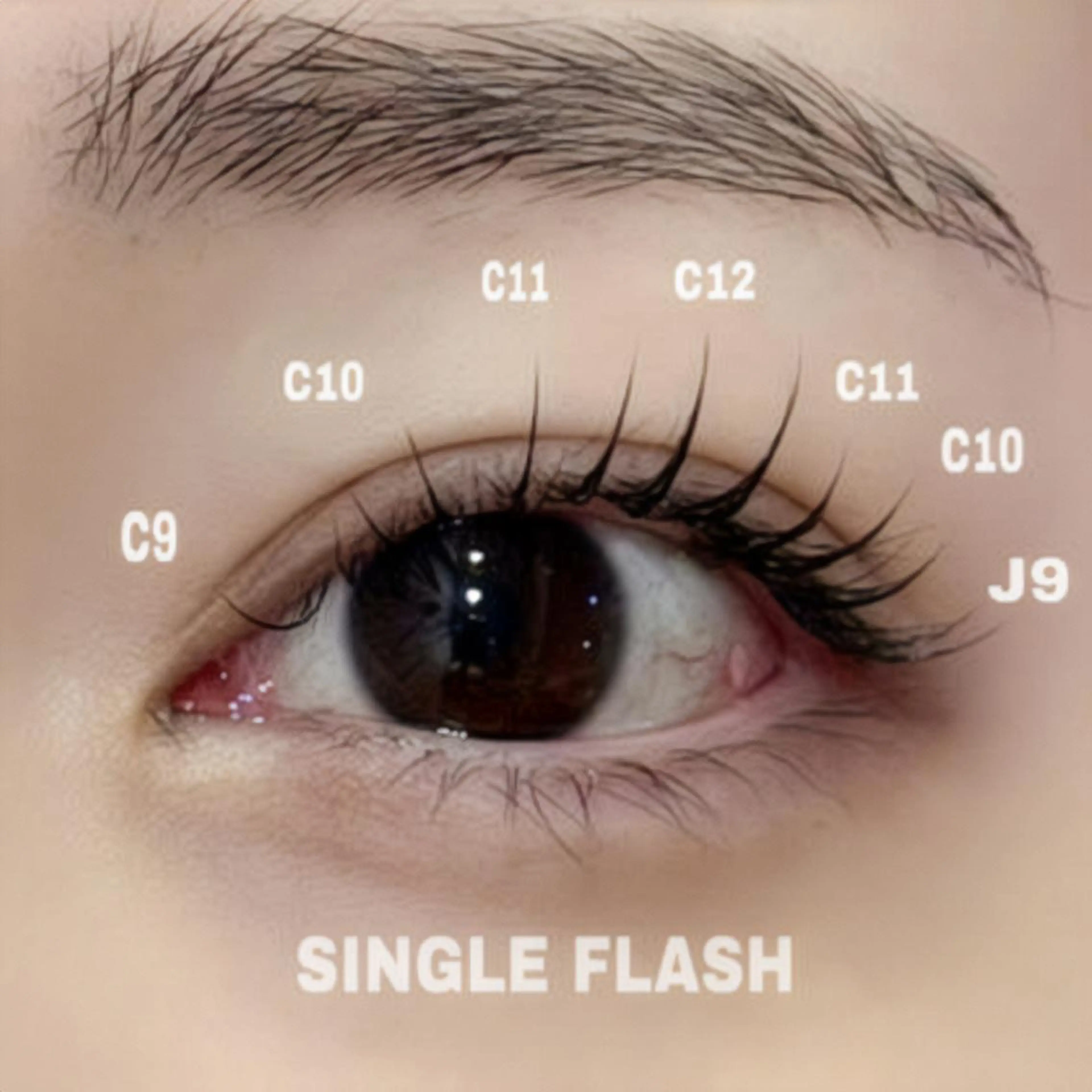 マツエク・マツパ キュート マツパ 🦋表参道/原宿 🦋Chibaの眉毛・アイブロウイメージ