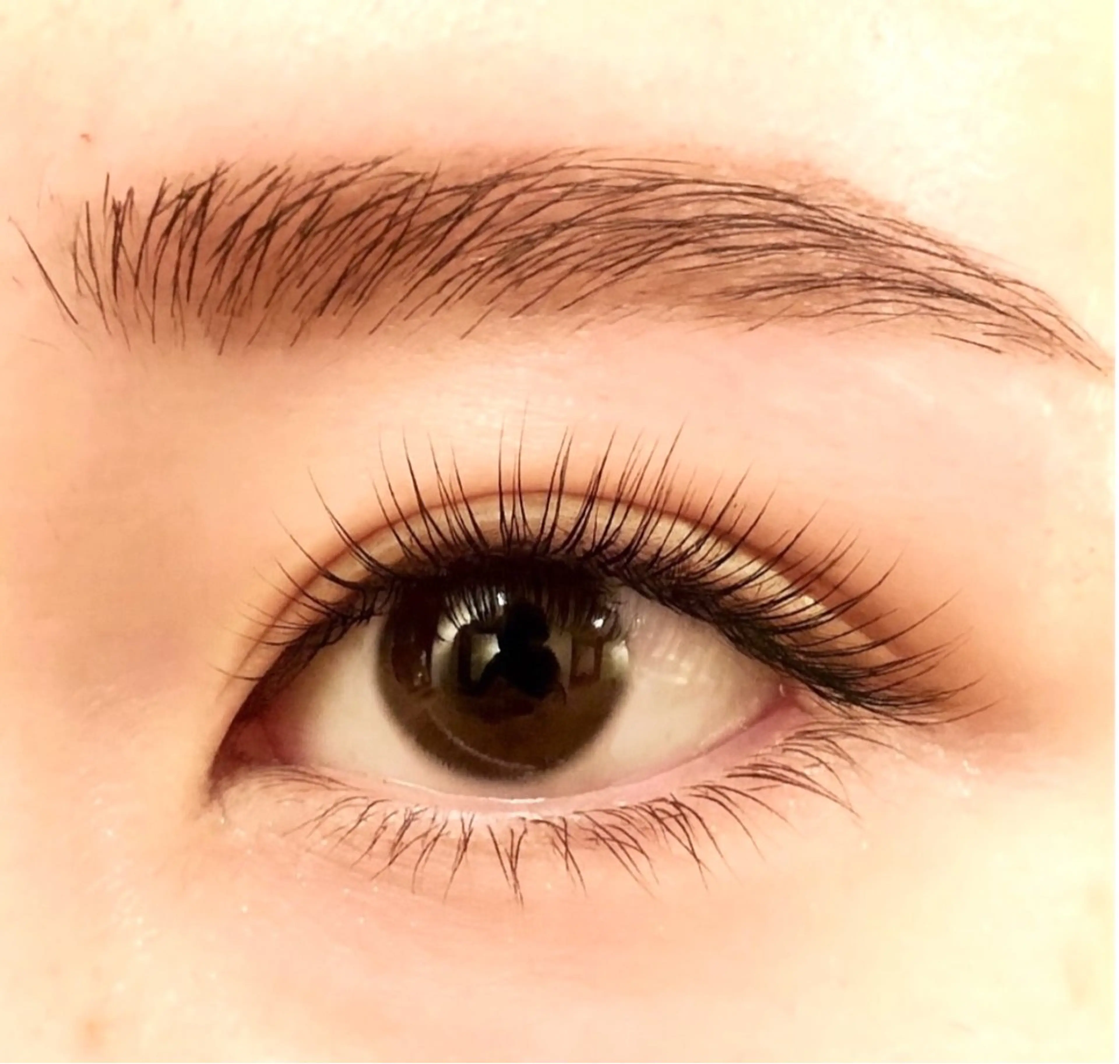 【初回】まつ毛エクステ+眉毛スタイリングの写真