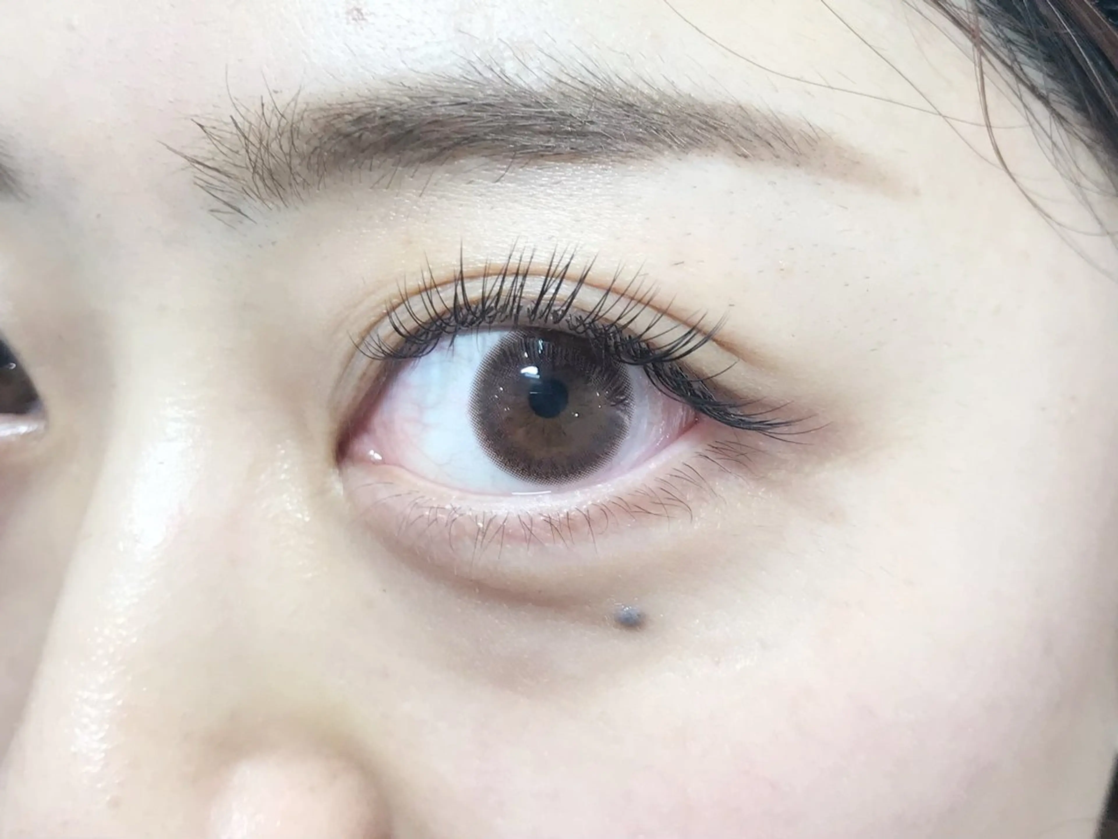 【初回オフ無料】 40%📴💙フラットラッシュ120本コース🩵の写真