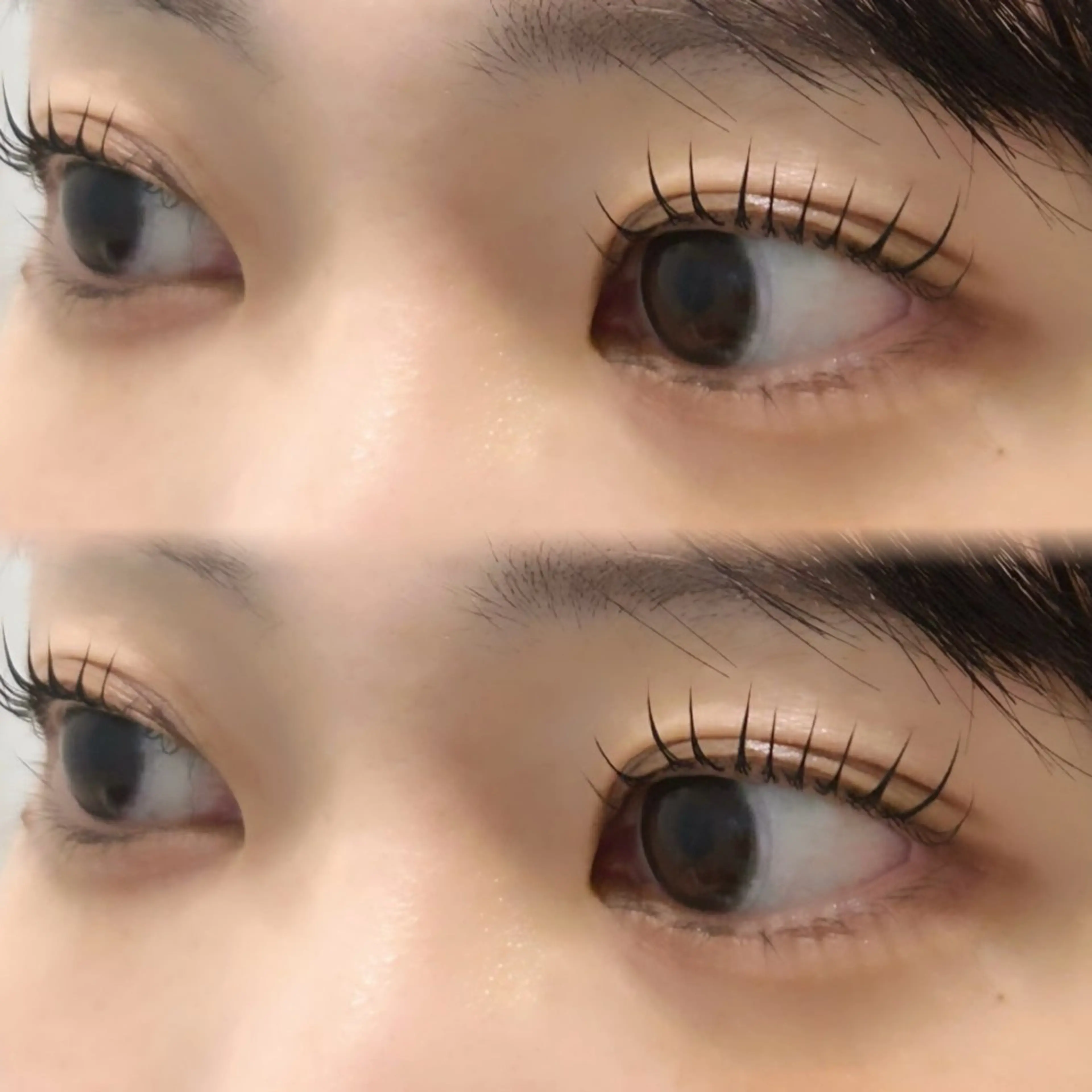 【12/14まで限定価格‼️】選べるまつげパーマ🫧の写真