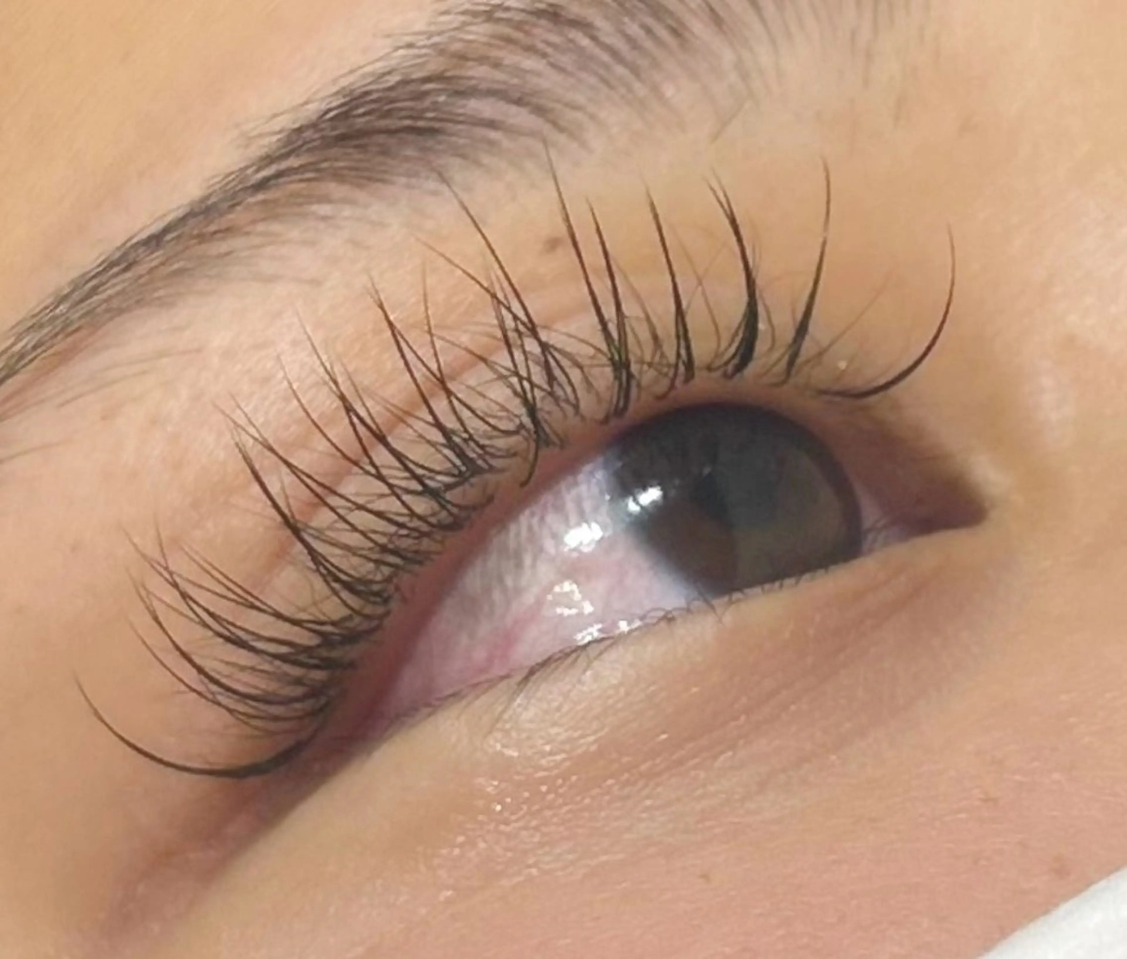 マツエク・マツパ Cカール MAQUIA はるかのマツエク・マツパデザイン