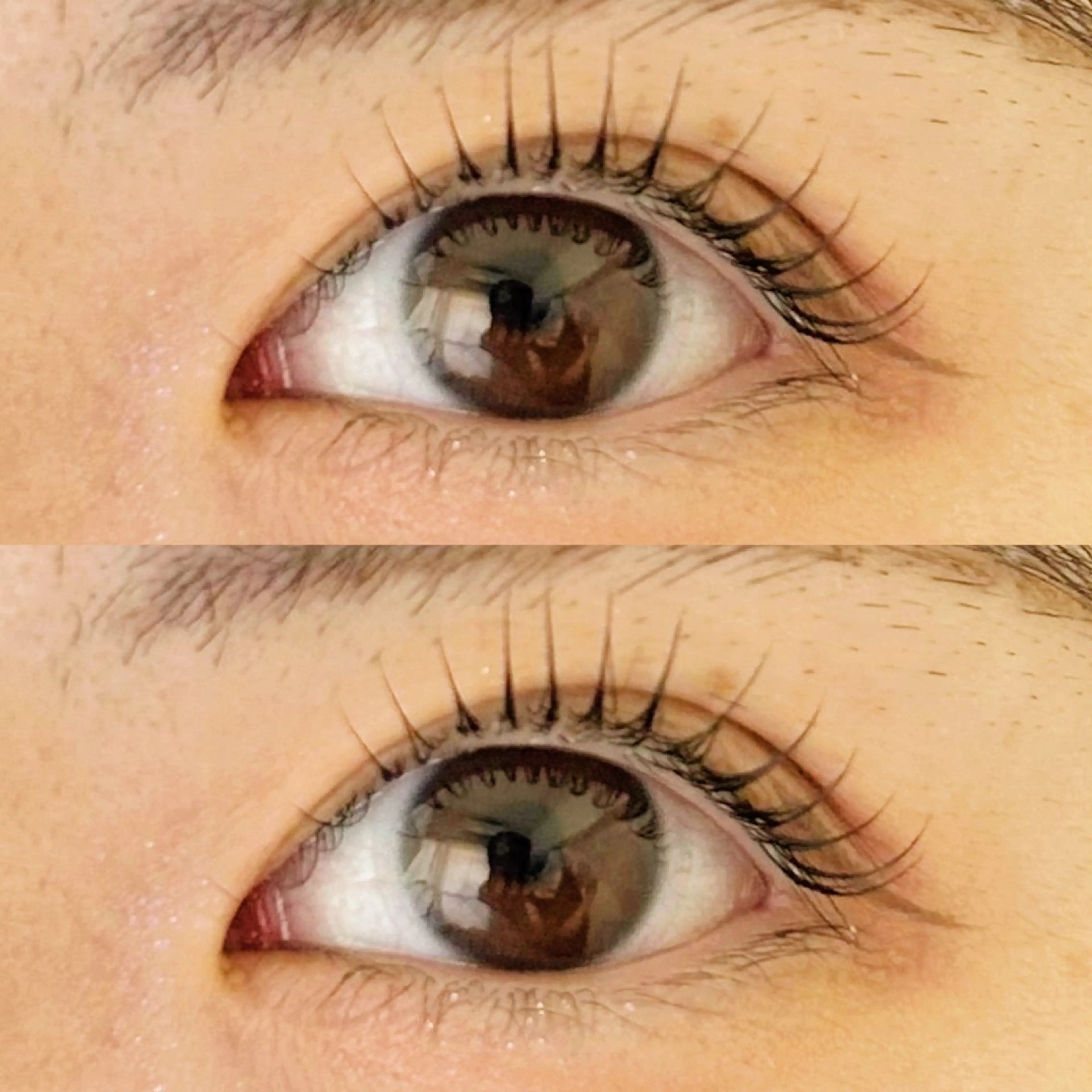 マツエク・マツパ まつげパーマ siieyelash 鷺沼店HONOKAのマツエク・マツパデザイン