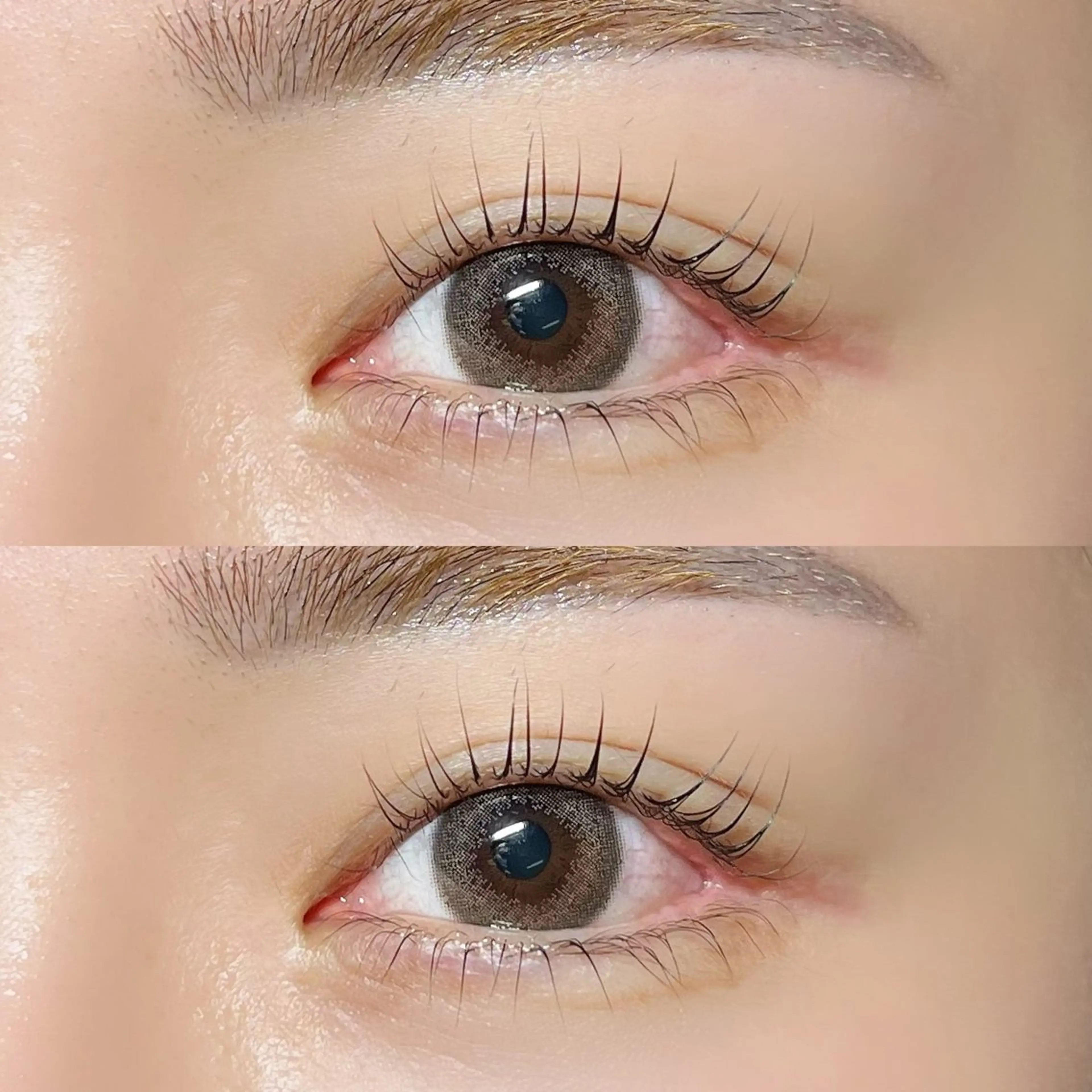 マツエク・マツパ パリジェンヌラッシュリフト Milobyking 🍒rihoの眉毛・アイブロウイメージ