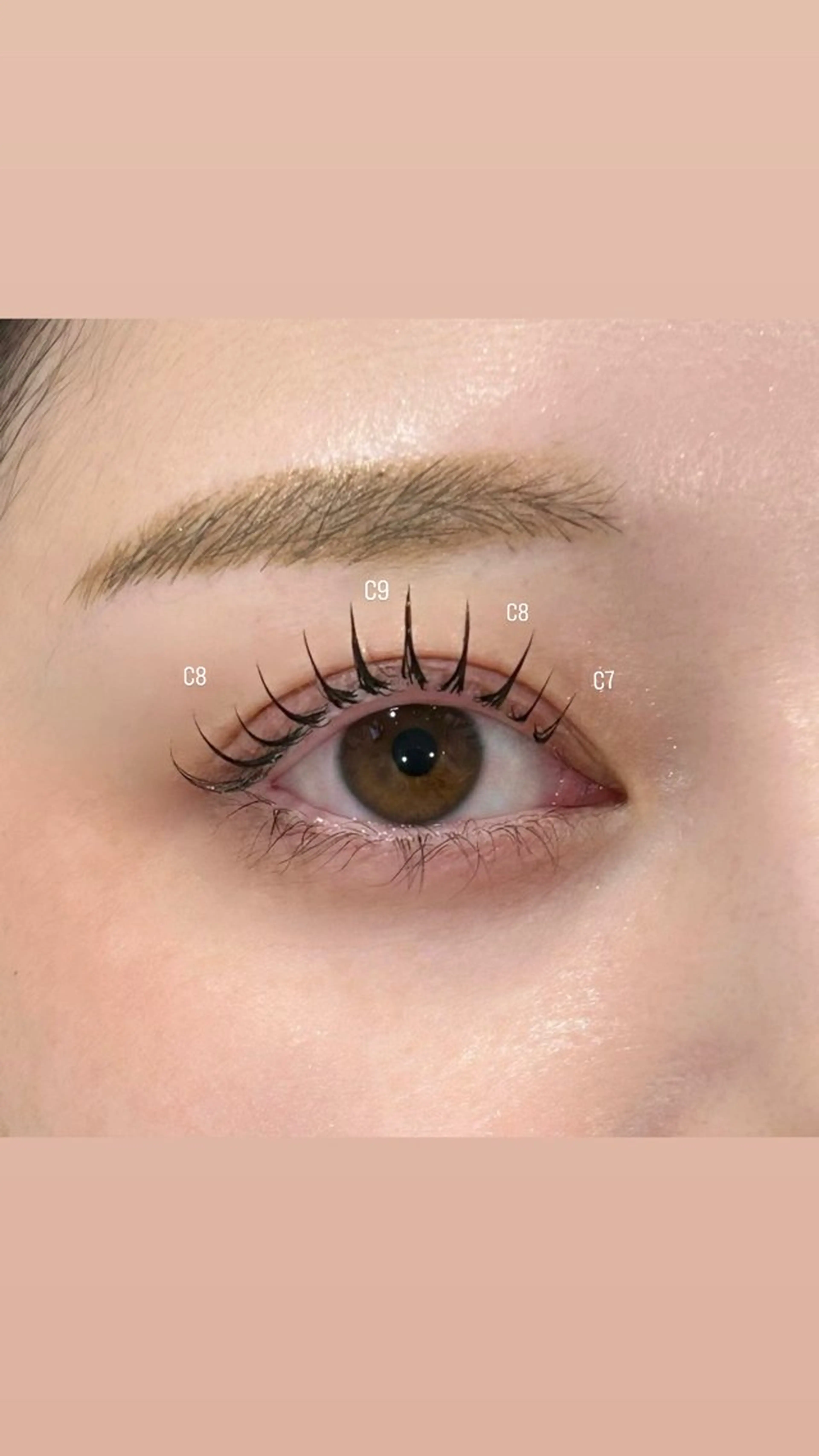 マツエク・マツパ マツエク 🫧韓国風束感まつ毛 /あかね/美眉🫧のマツエク・マツパデザイン