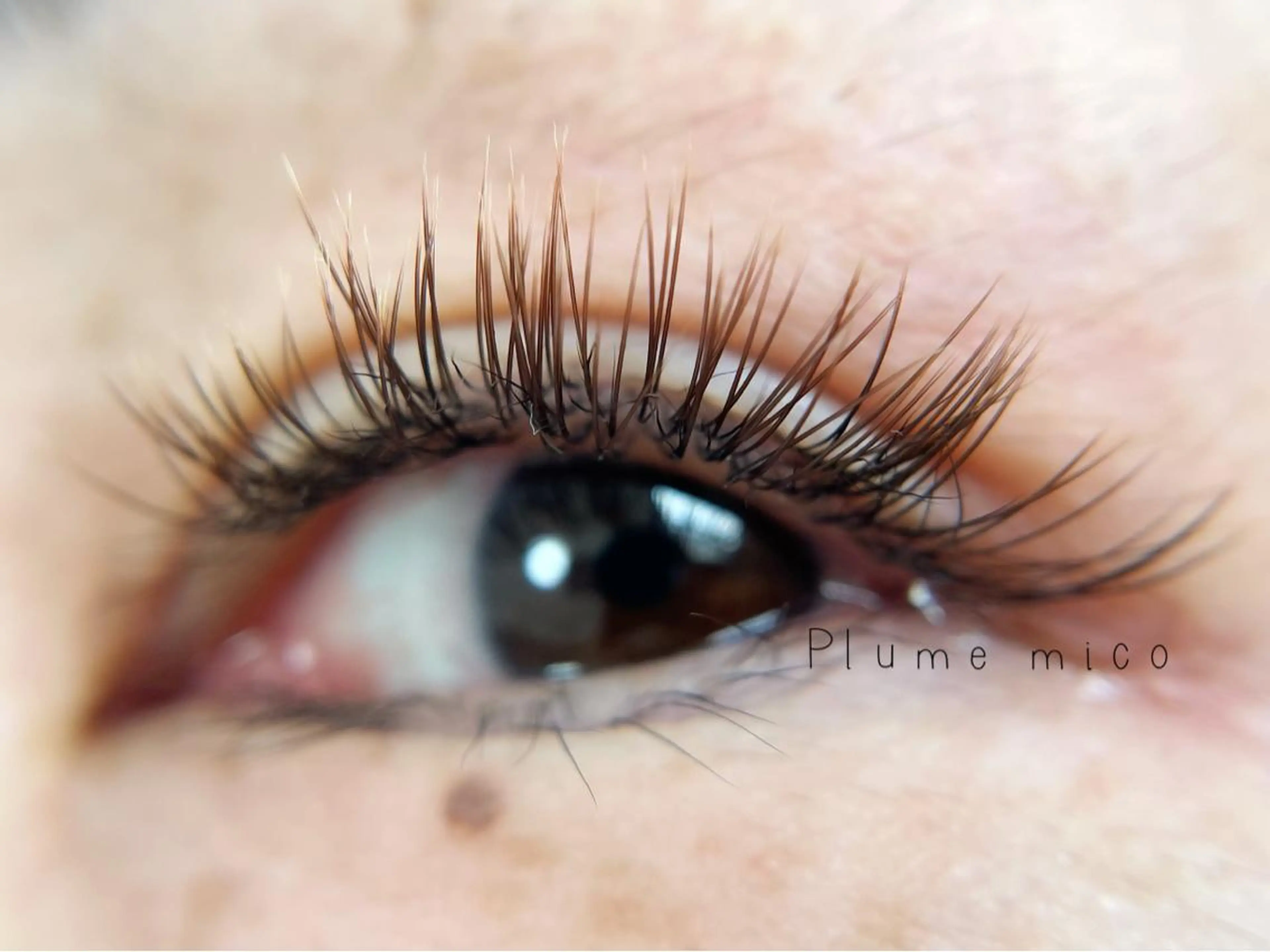 マツエク・マツパ マツエク Plume micoのマツエク・マツパデザイン