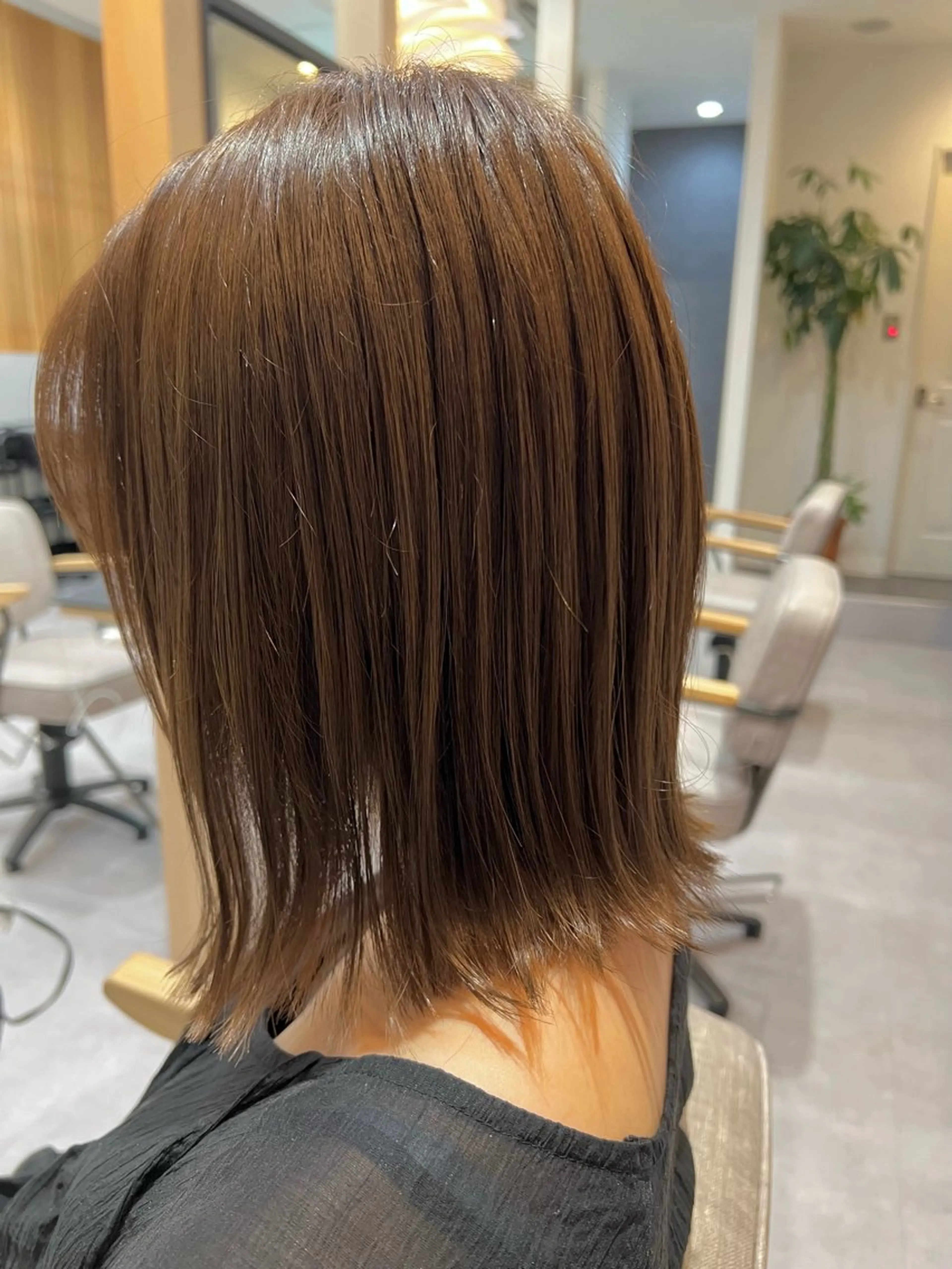 キシ ツグミのヘアスタイル
