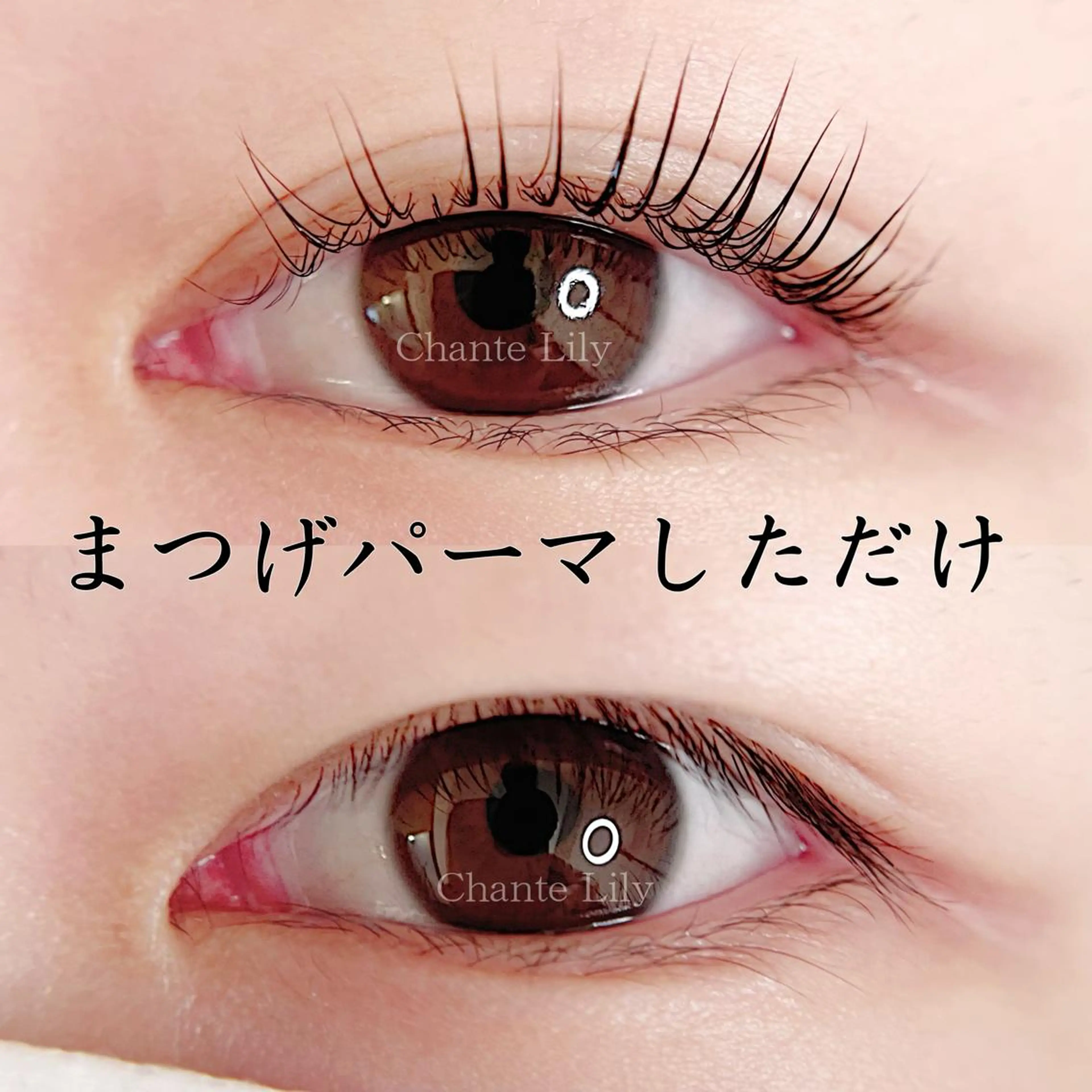 マツエク・マツパ 一重×まつ毛パーマ マツパ Chante Lily所属・森崎 麗のマツエク・マツパデザイン