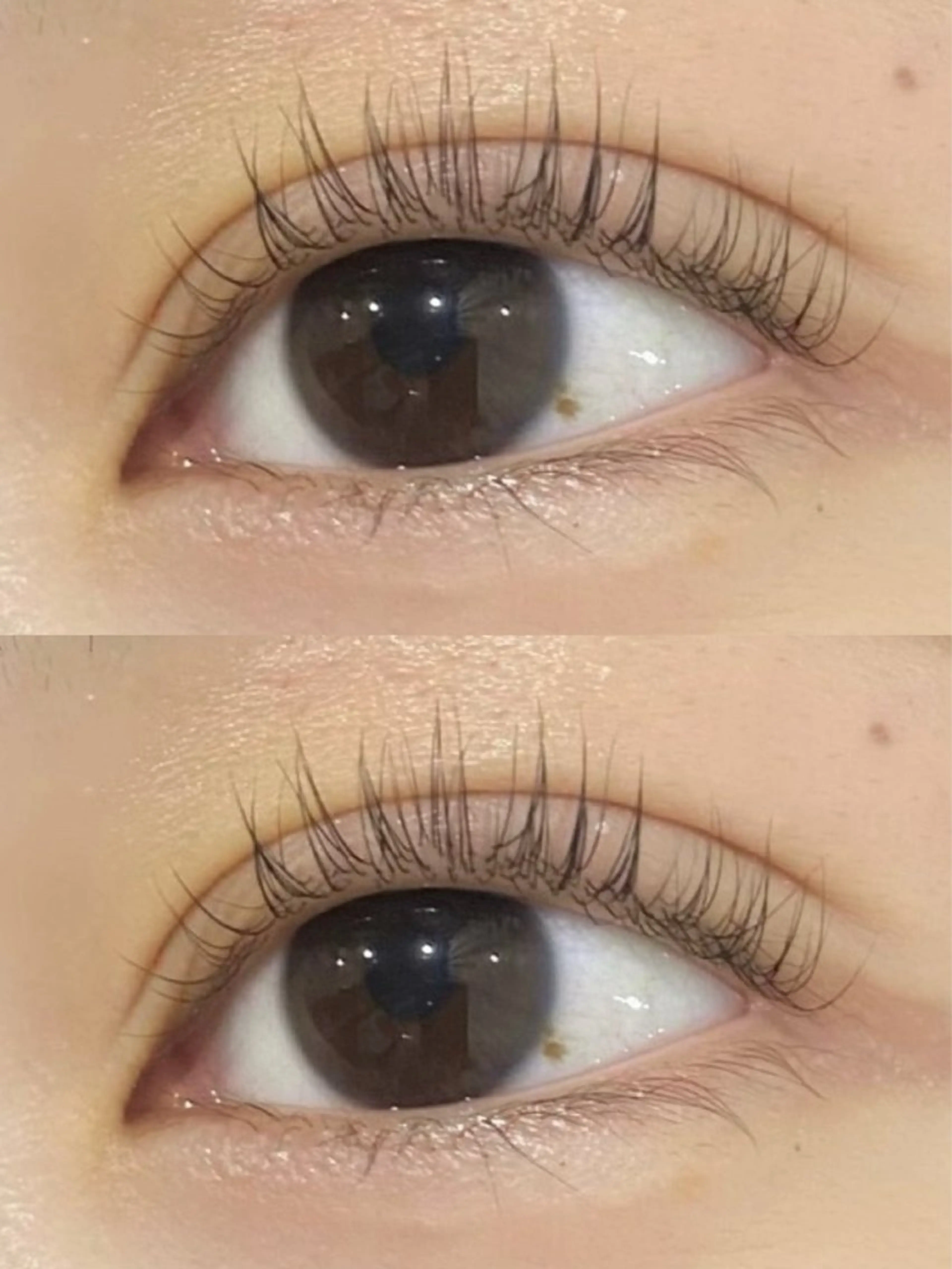 🎀パリジェンヌラッシュリフト《モデル募集》🎀※練習モデルのため《無料》でご案内しています🪽✨の写真