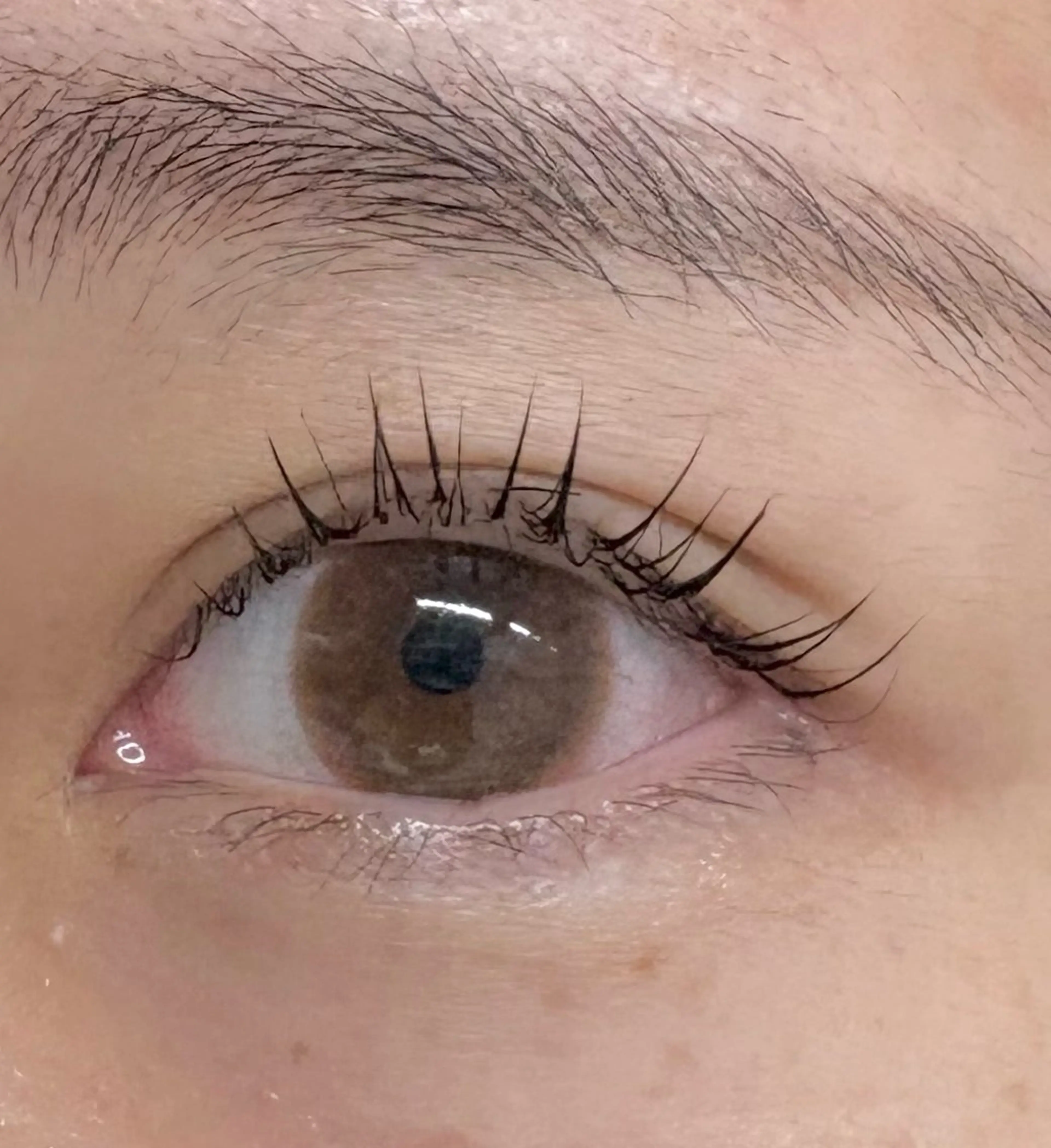 マツエク・マツパ Holus kihoのマツエク・マツパデザイン