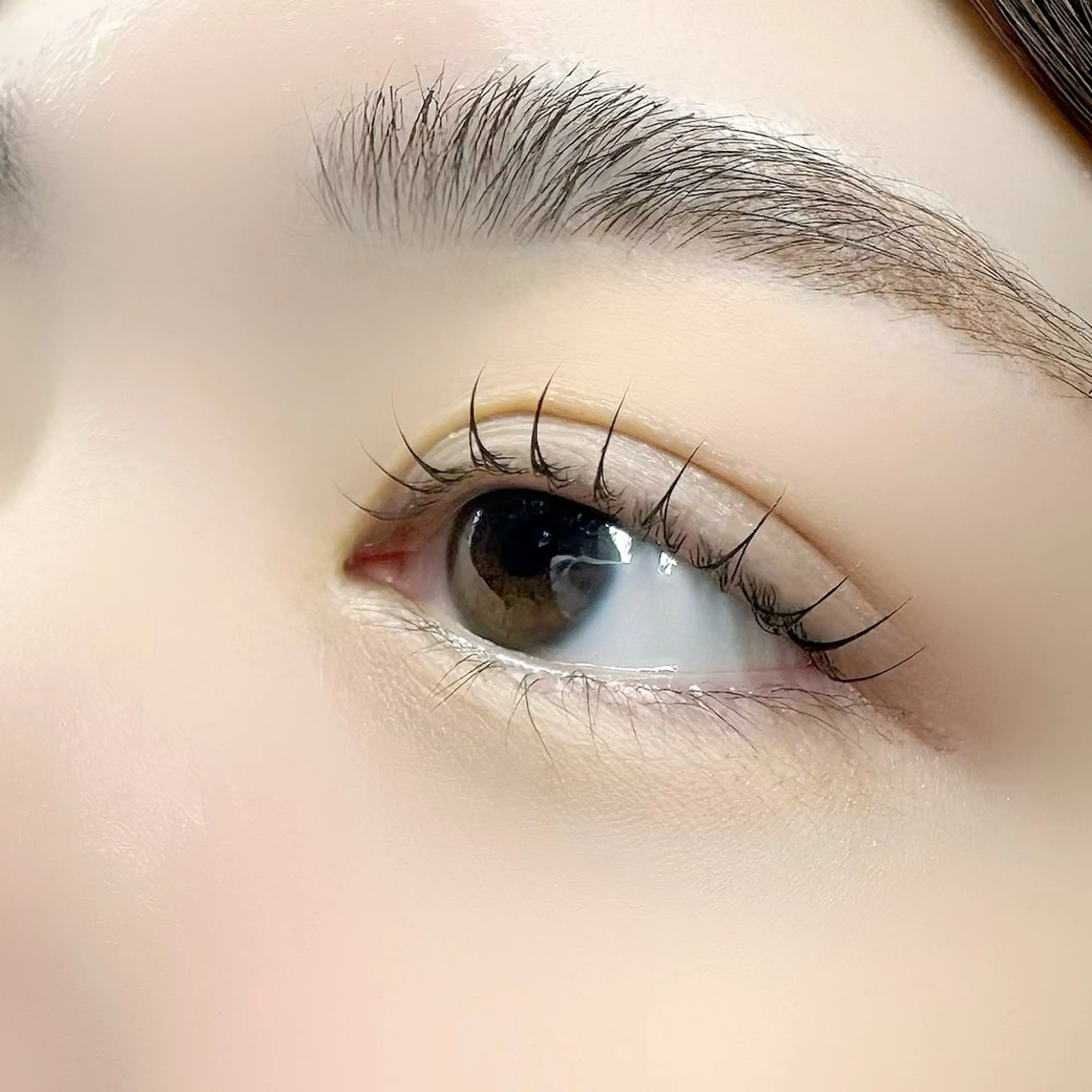 ケラチンラッシュリフト【コーティング仕上げ付】の写真