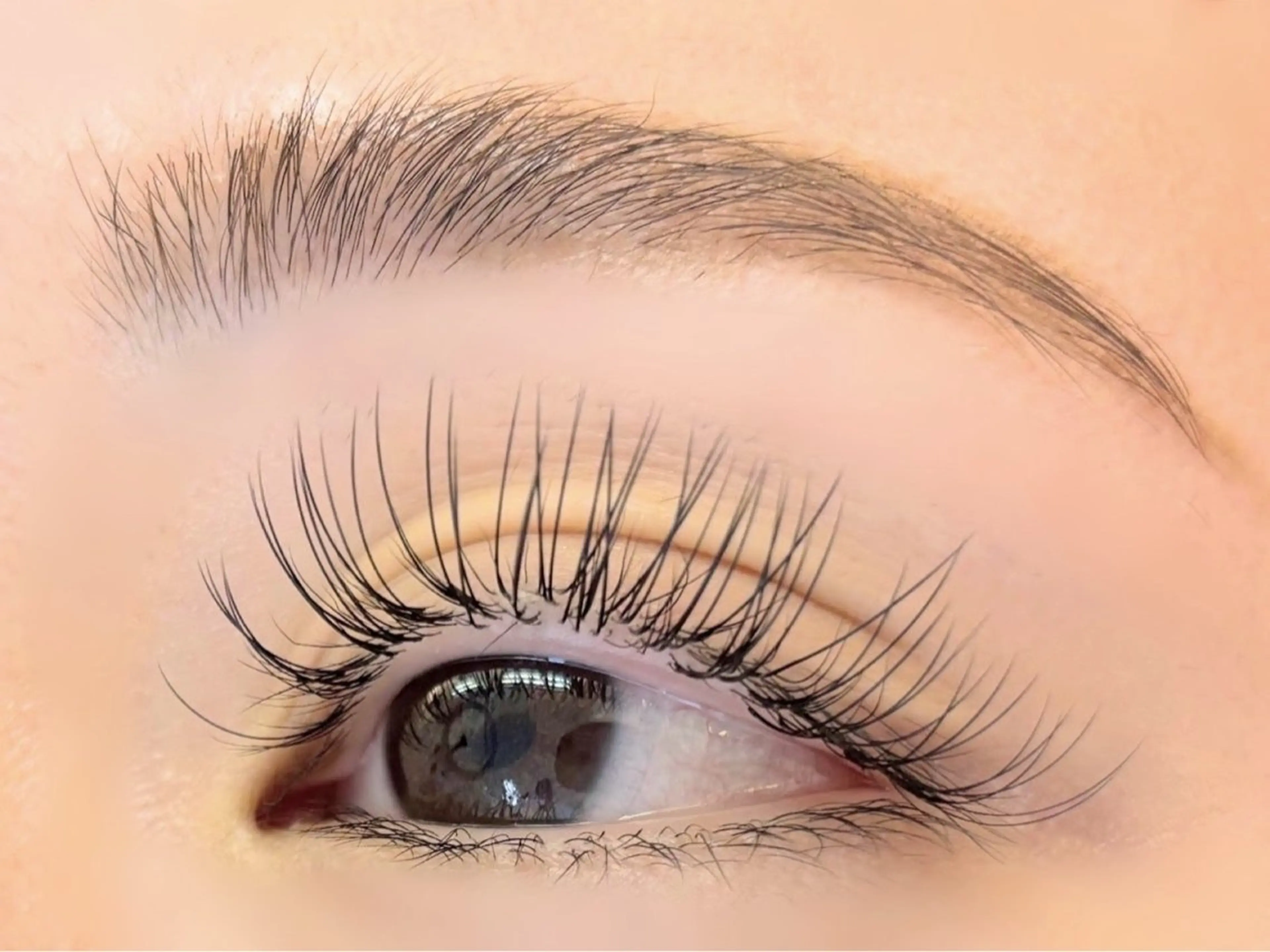 ◆11月限定◆似合わせ眉毛WAXの写真