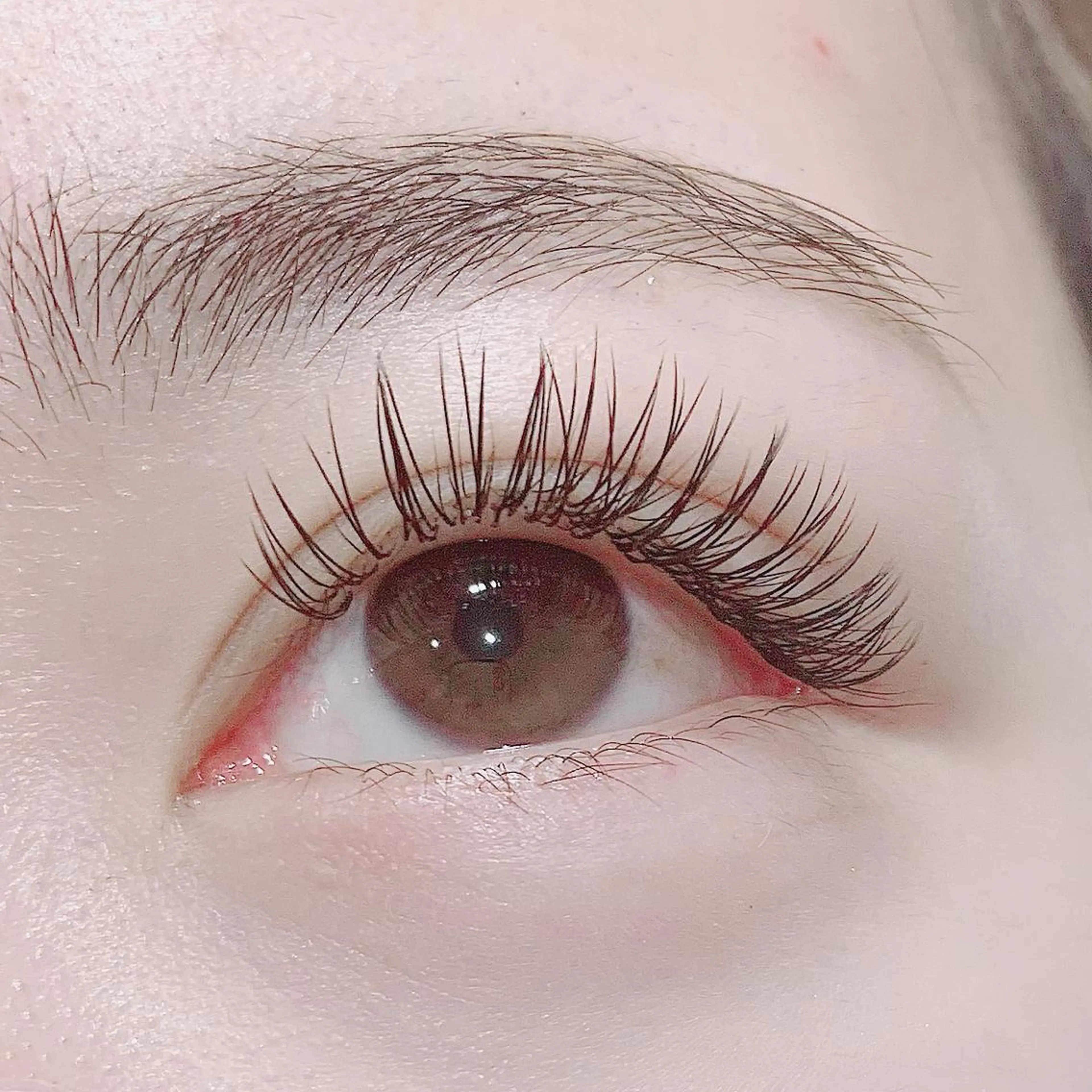 マツエク・マツパ Cカール キュート 池袋駅韓国風🇰🇷 束感💗Tomoのマツエク・マツパデザイン