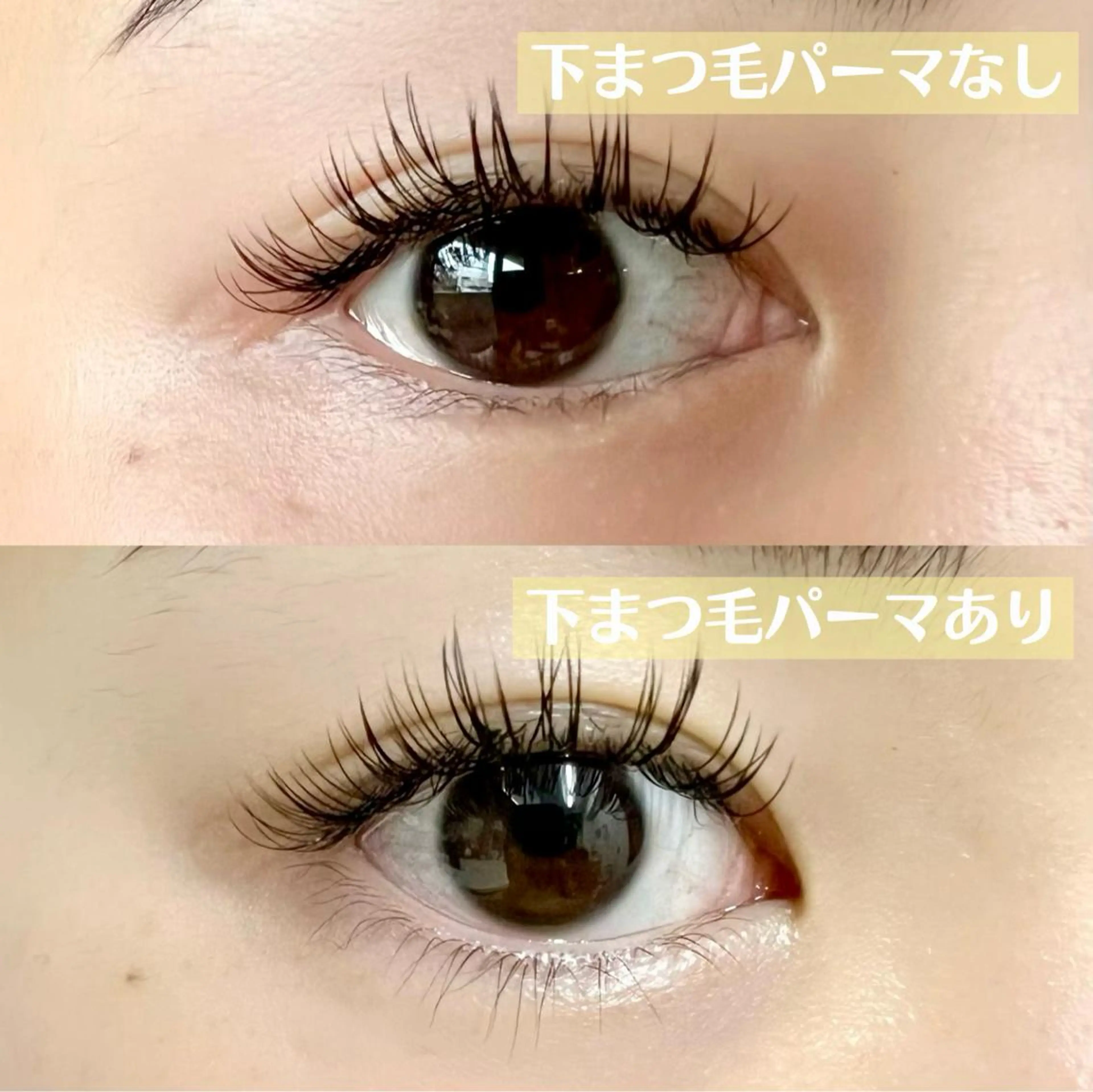 マツエク・マツパ まつげパーマ 下まつげエクステ grantier beautyのネイルデザイン