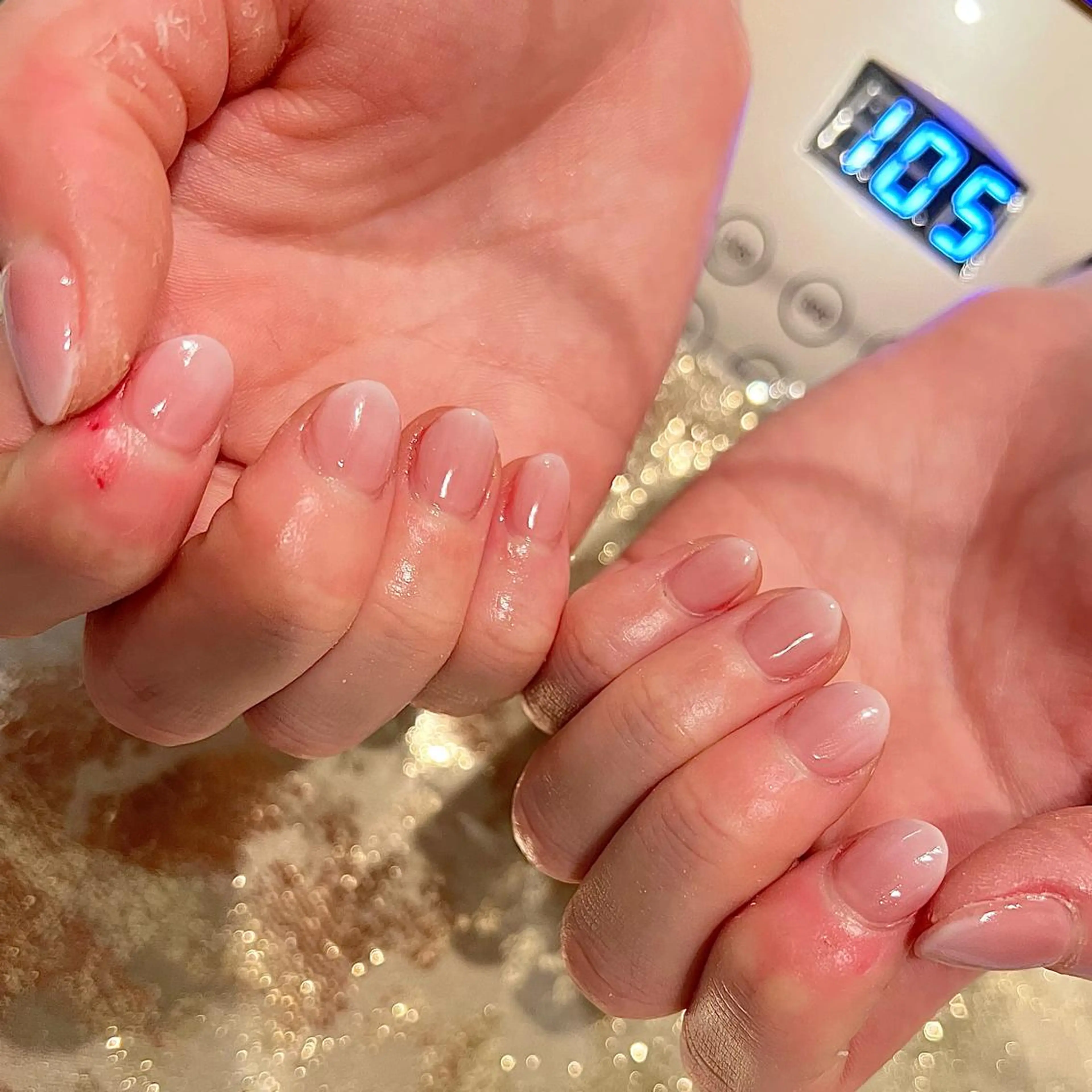 ショート ネイル グラデーション H🌺 NAILのネイルデザイン