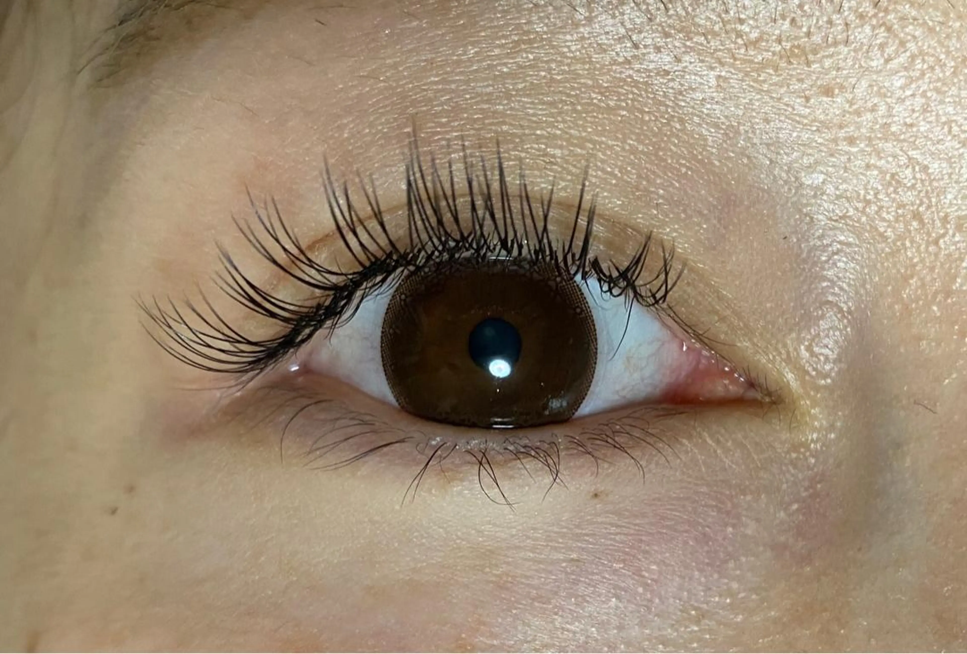 マツエク・マツパ Cカール フラットラッシュ ゴージャス マツエク Le’ala 八木のマツエク・マツパデザイン